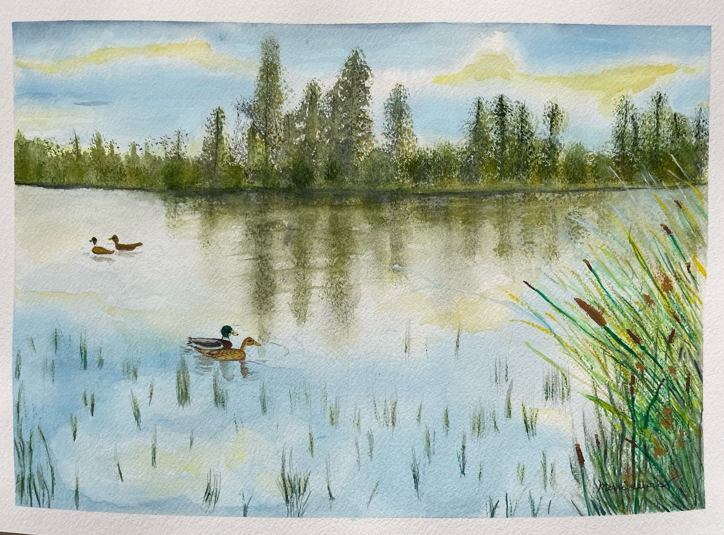 My newest watercolor. The male mallards head is iridescent green with Birdwing pigment from @colorsbyvita. I am thinking of a title like Date Night whaat do you think? #mallard #watercolor #watercolorlandscape