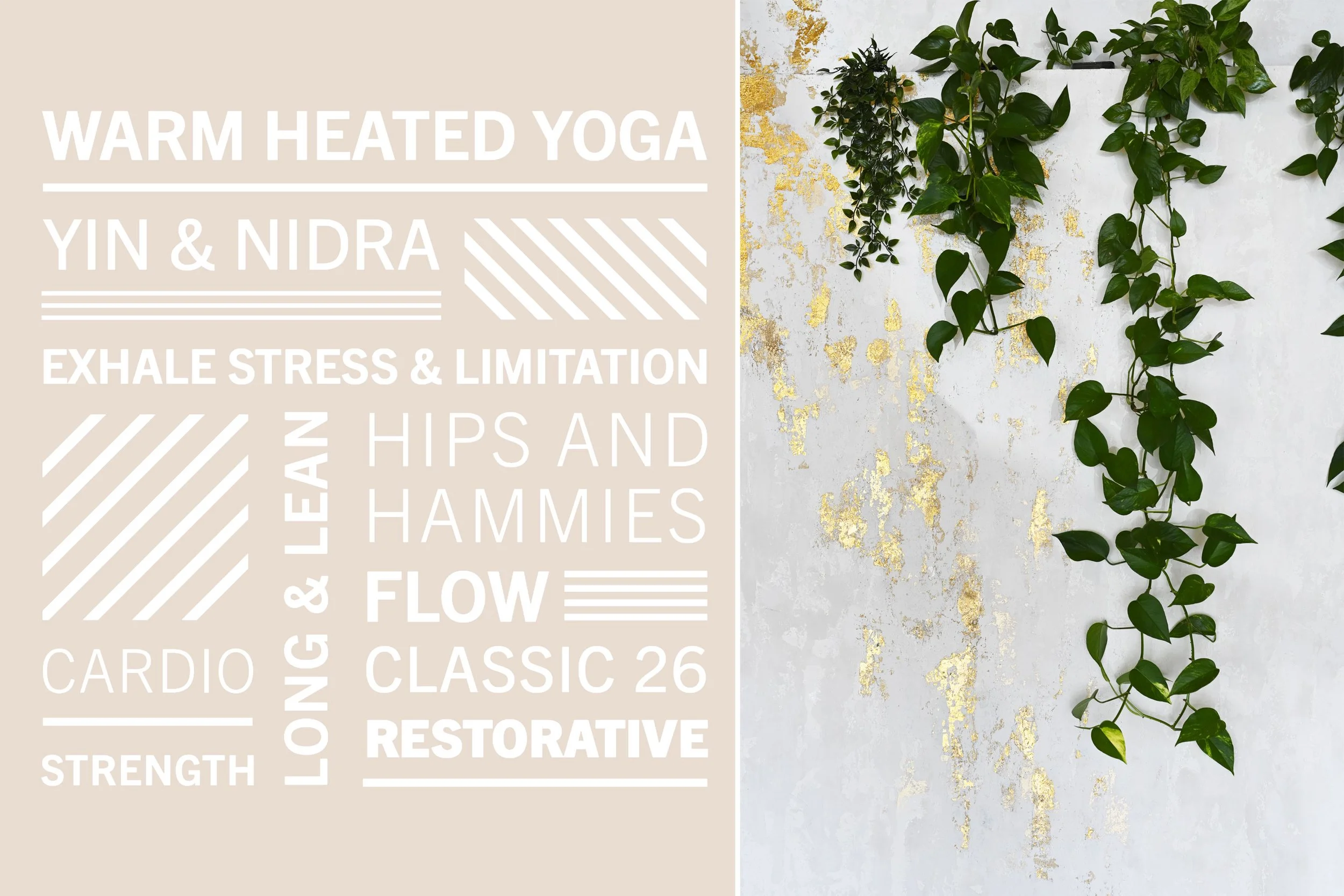 Creative Direction for Window Graphics + Signage / Feature Wall by Interiors to Inspire