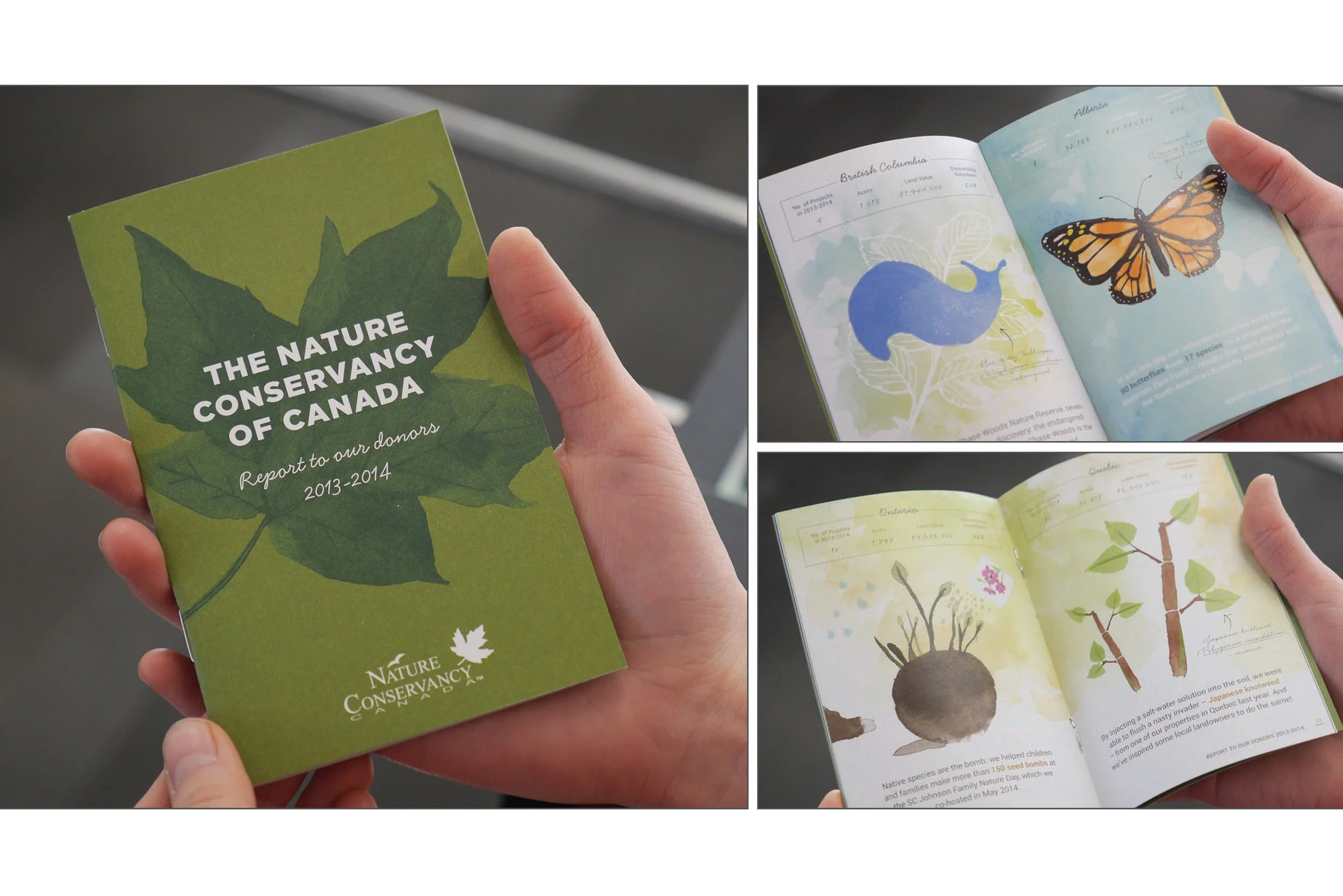 nature1.jpg