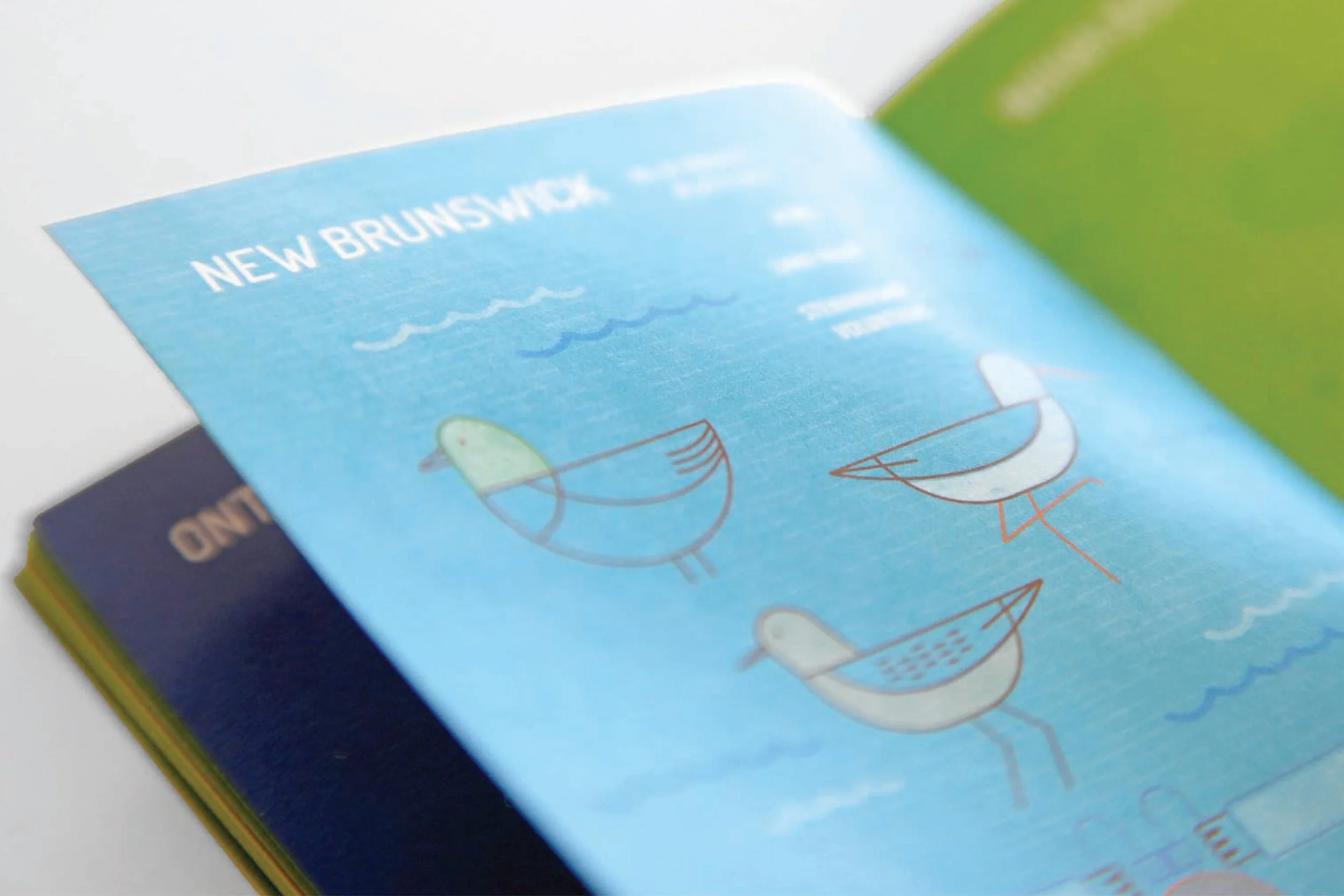 SERVICES: Book Design + Layout // Illustrations: Iris Wong