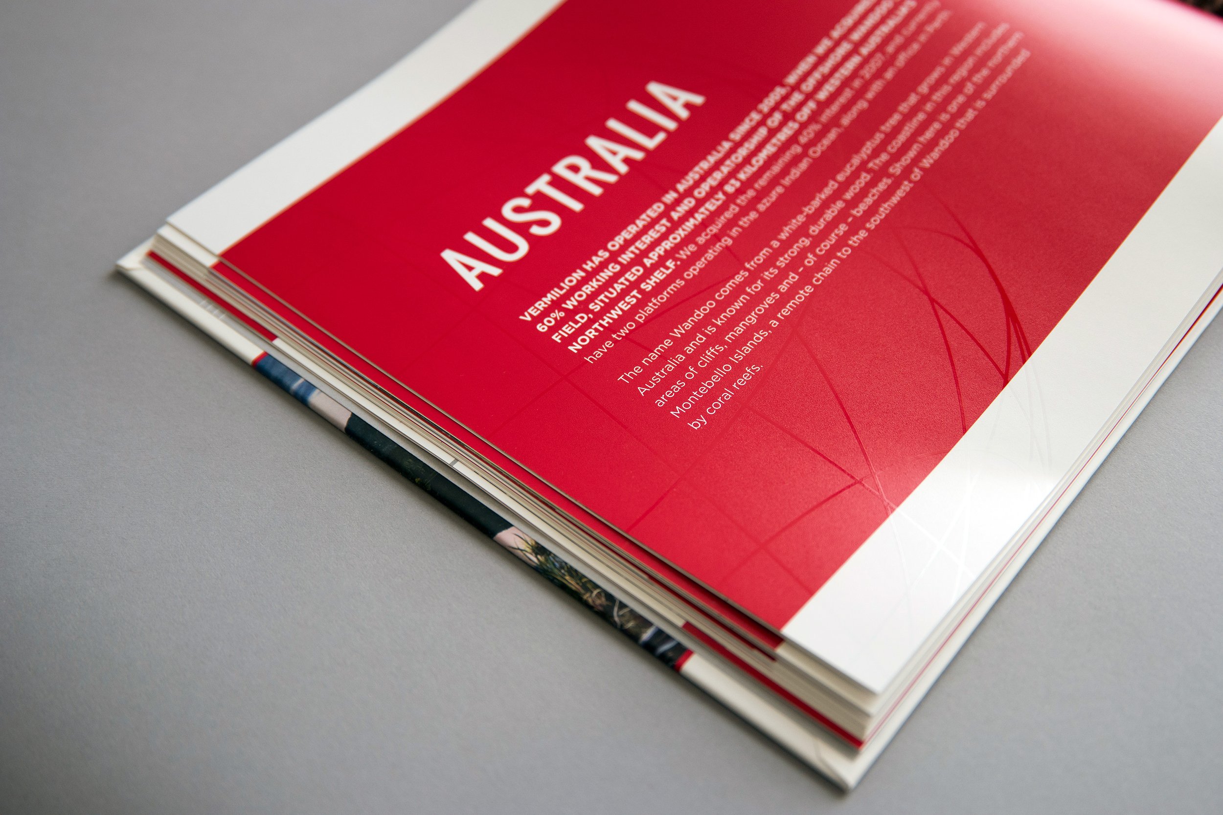 10-Spread-Detail_2355.jpg