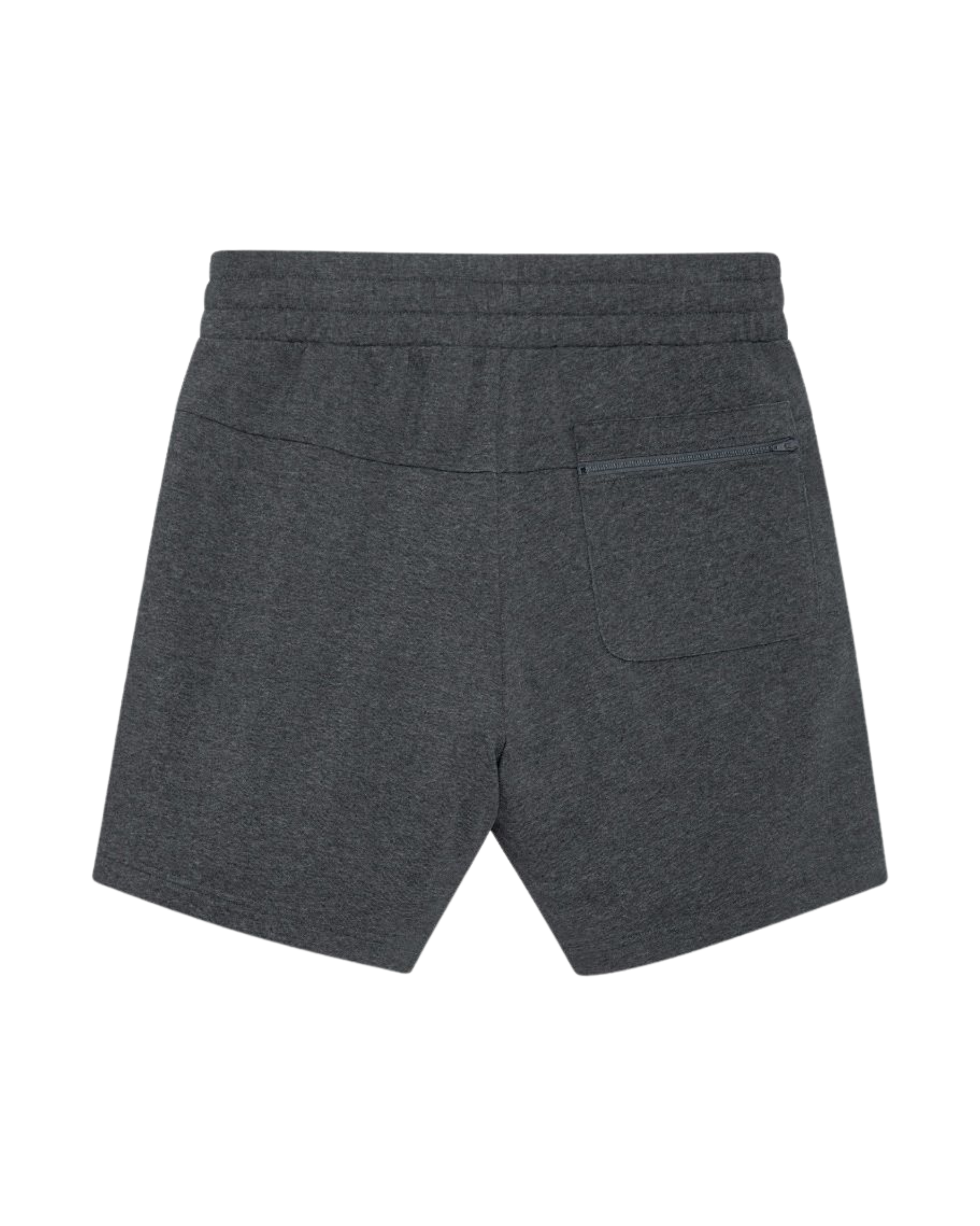 ATCF2875 Dark Heather Back.png