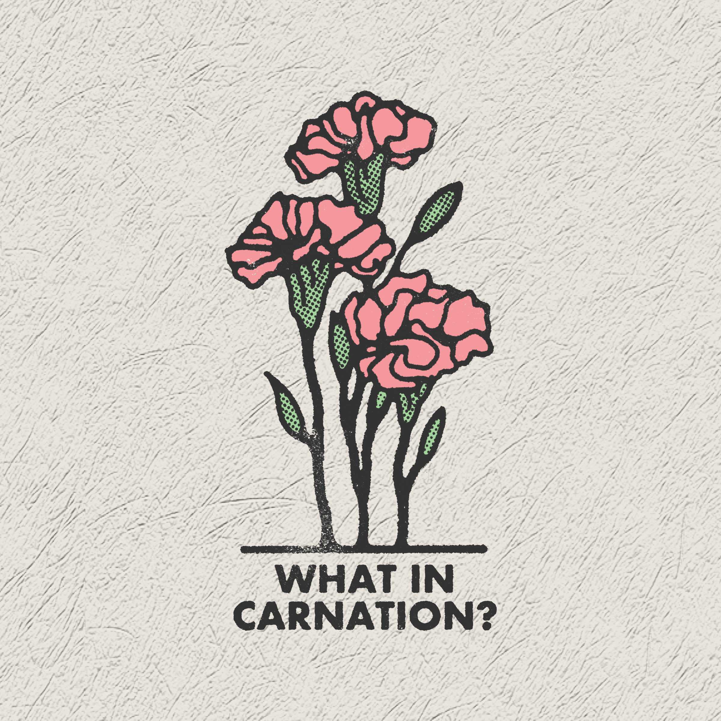 what in carnation listing.png