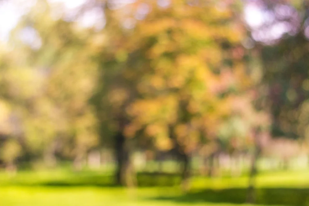 Contact Us — Kingdom Landscaping