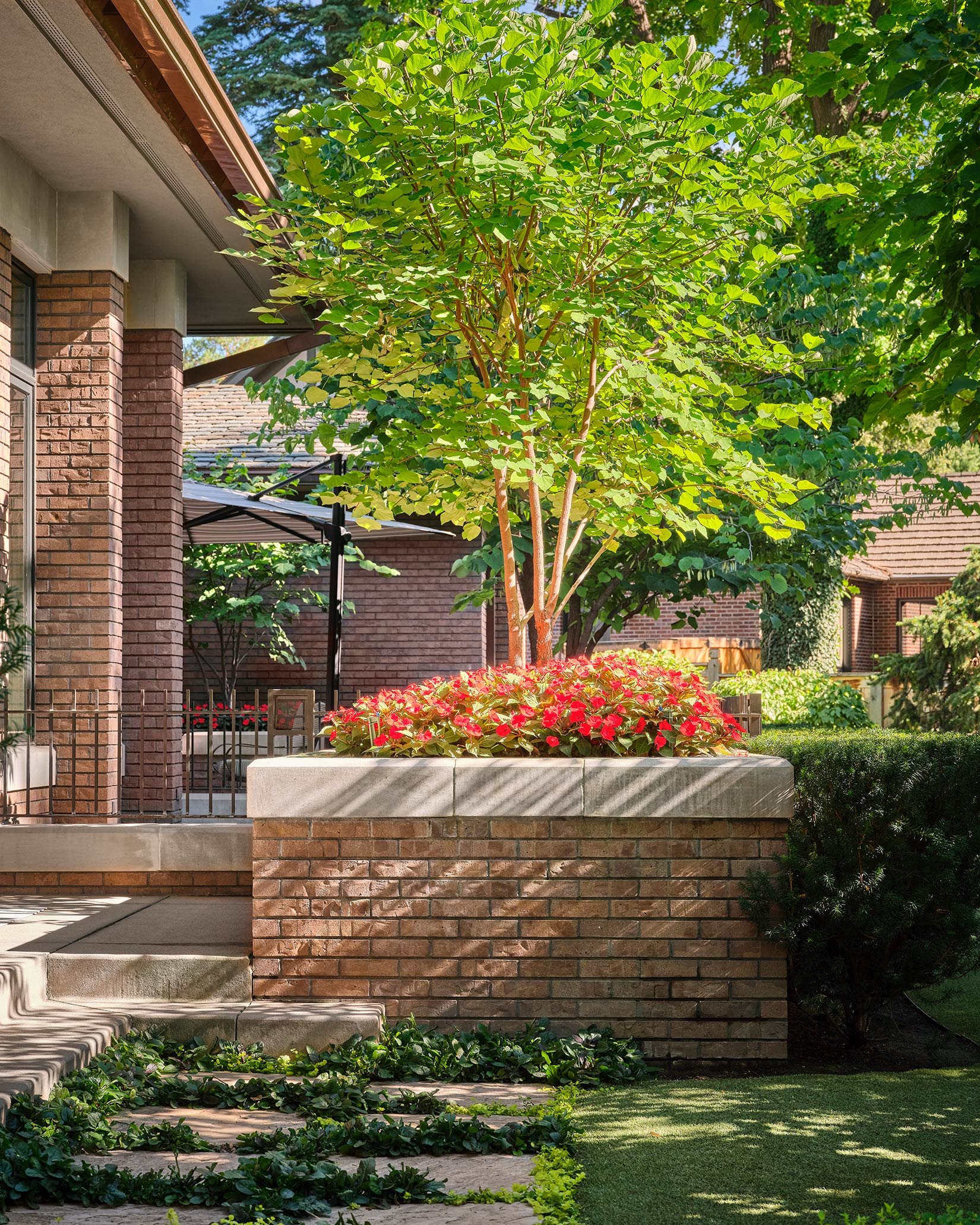 A backyard garden featuring a brick planter with a small tree and vibrant pink flowers, next to steps and a grassy area, surrounded by other trees and shrubs.