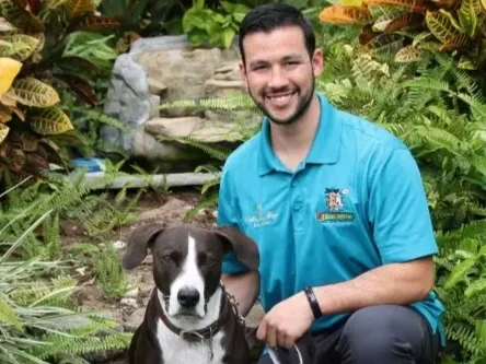 Free Dog Training Class