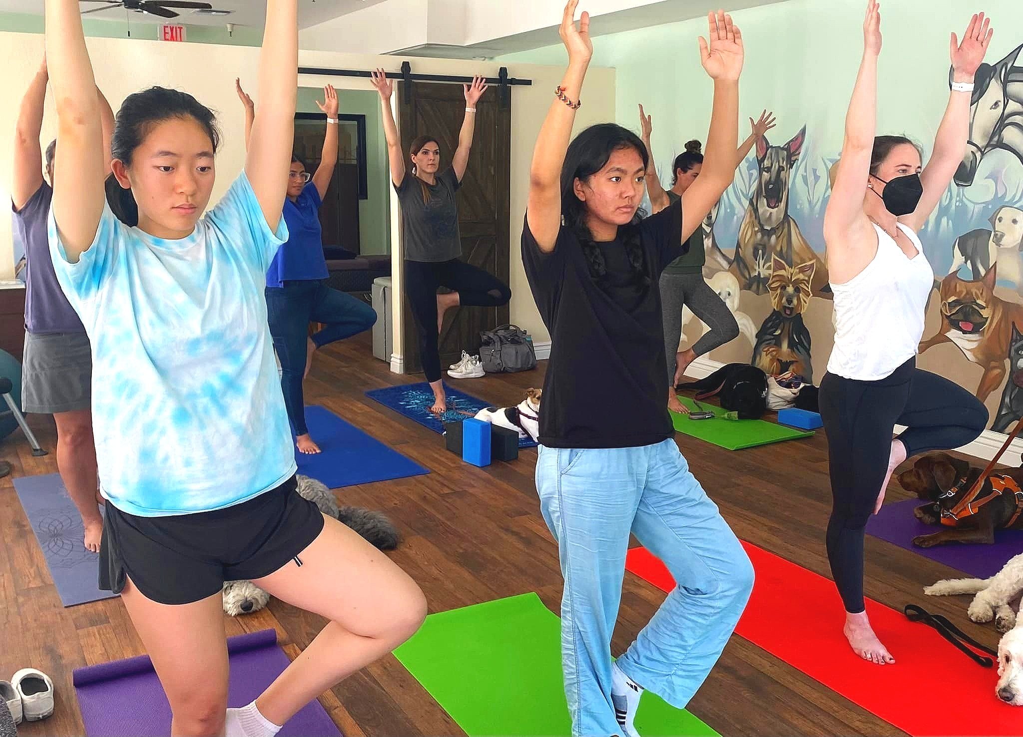 A group of people participating in a yoga or meditation class, standing on colorful mats in a room with dog-themed wall art. They have their arms raised above their heads with focused expressions.
