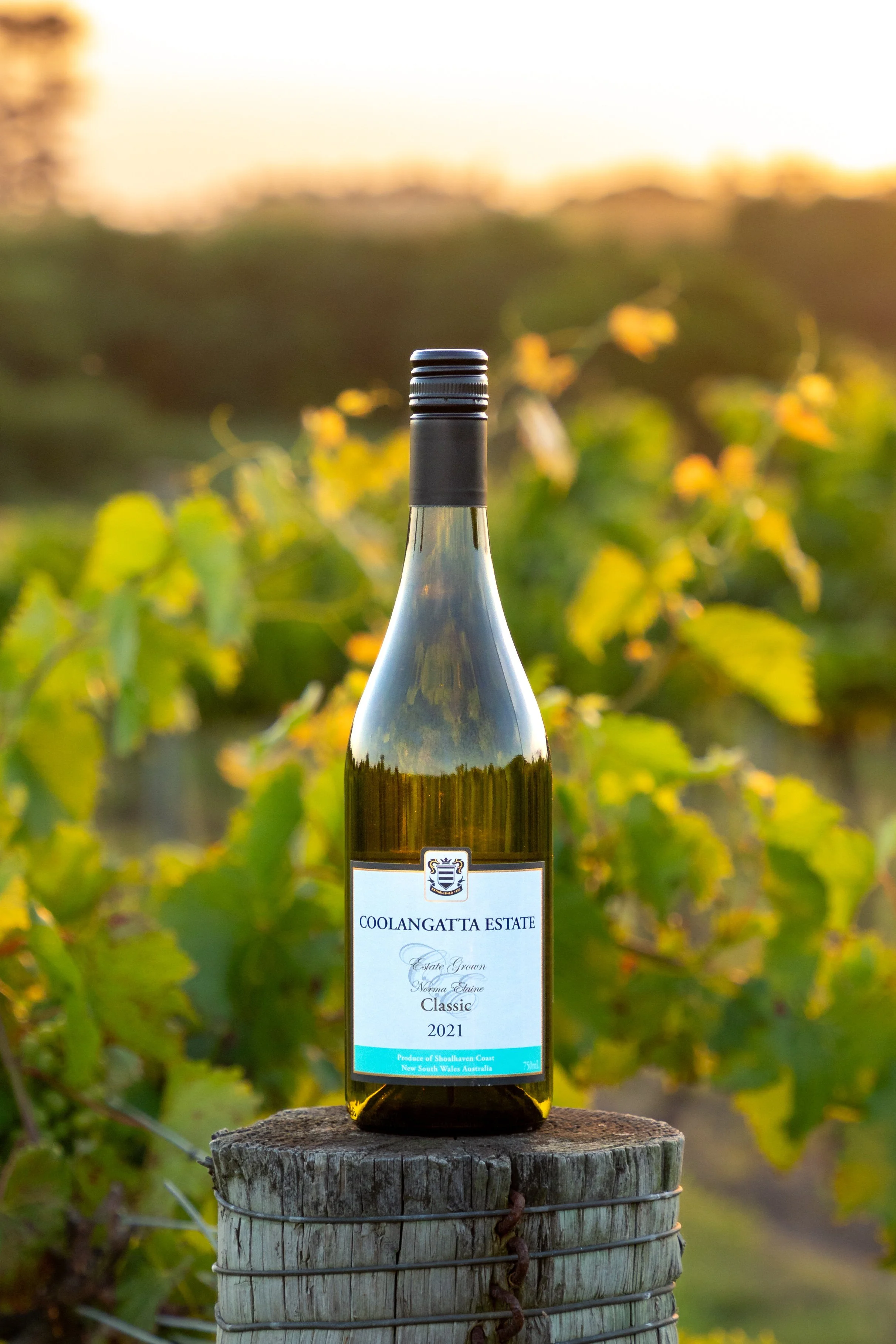 2021 Norma Elaine Classic