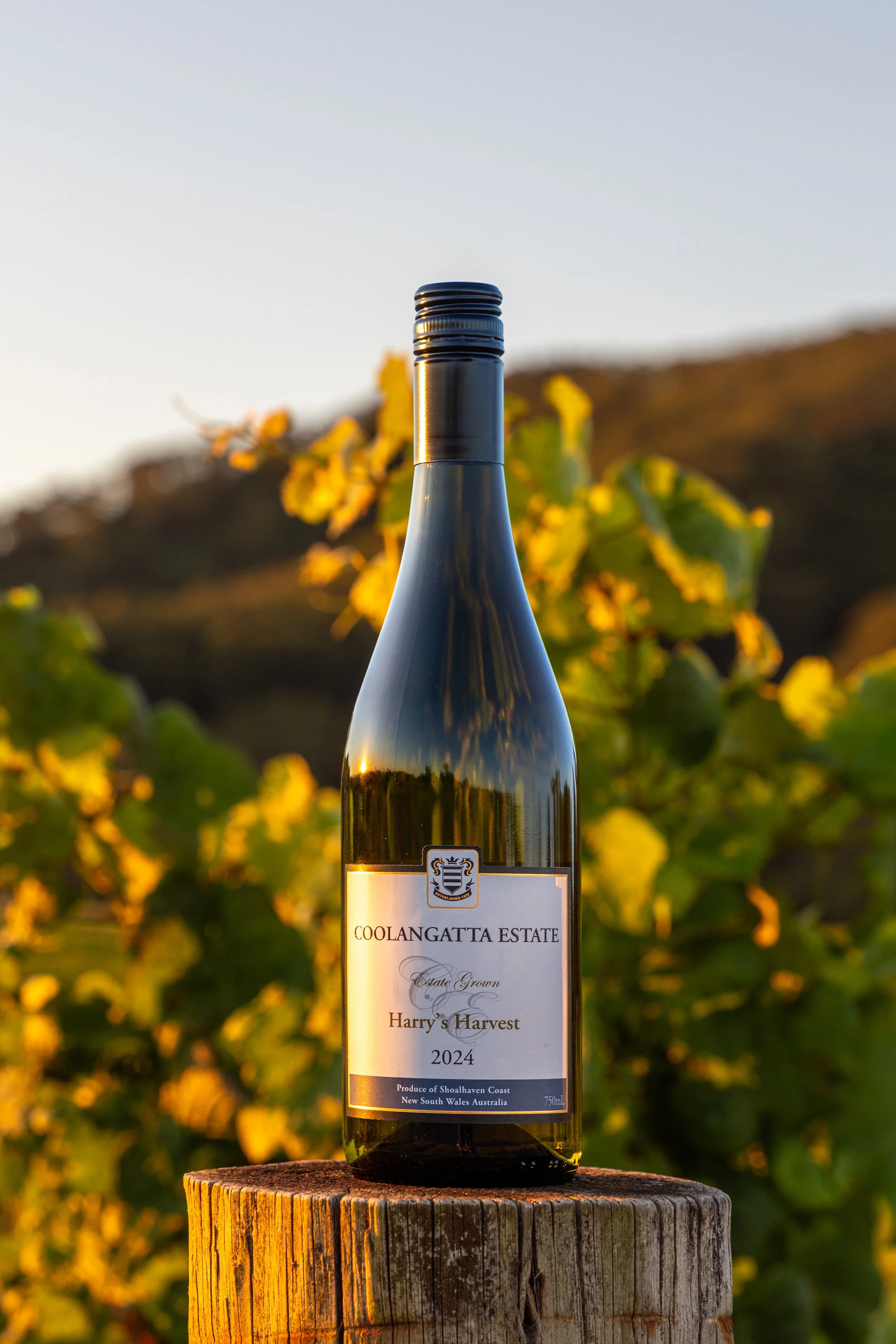 2024 Harry's Harvest