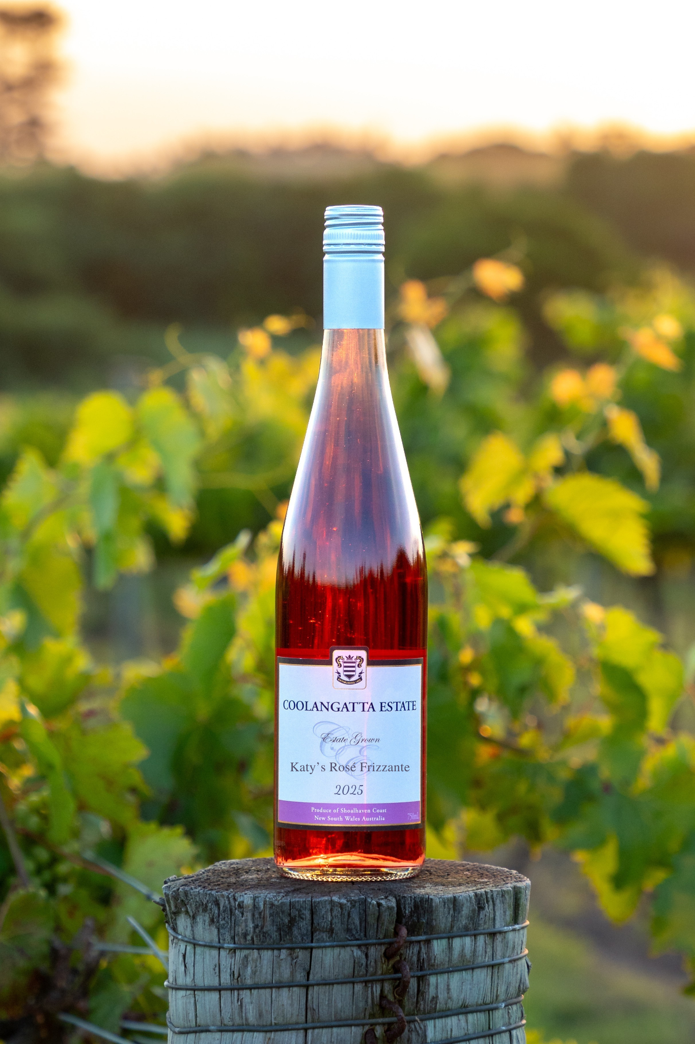 2025 Katy's Rosé Frizzante