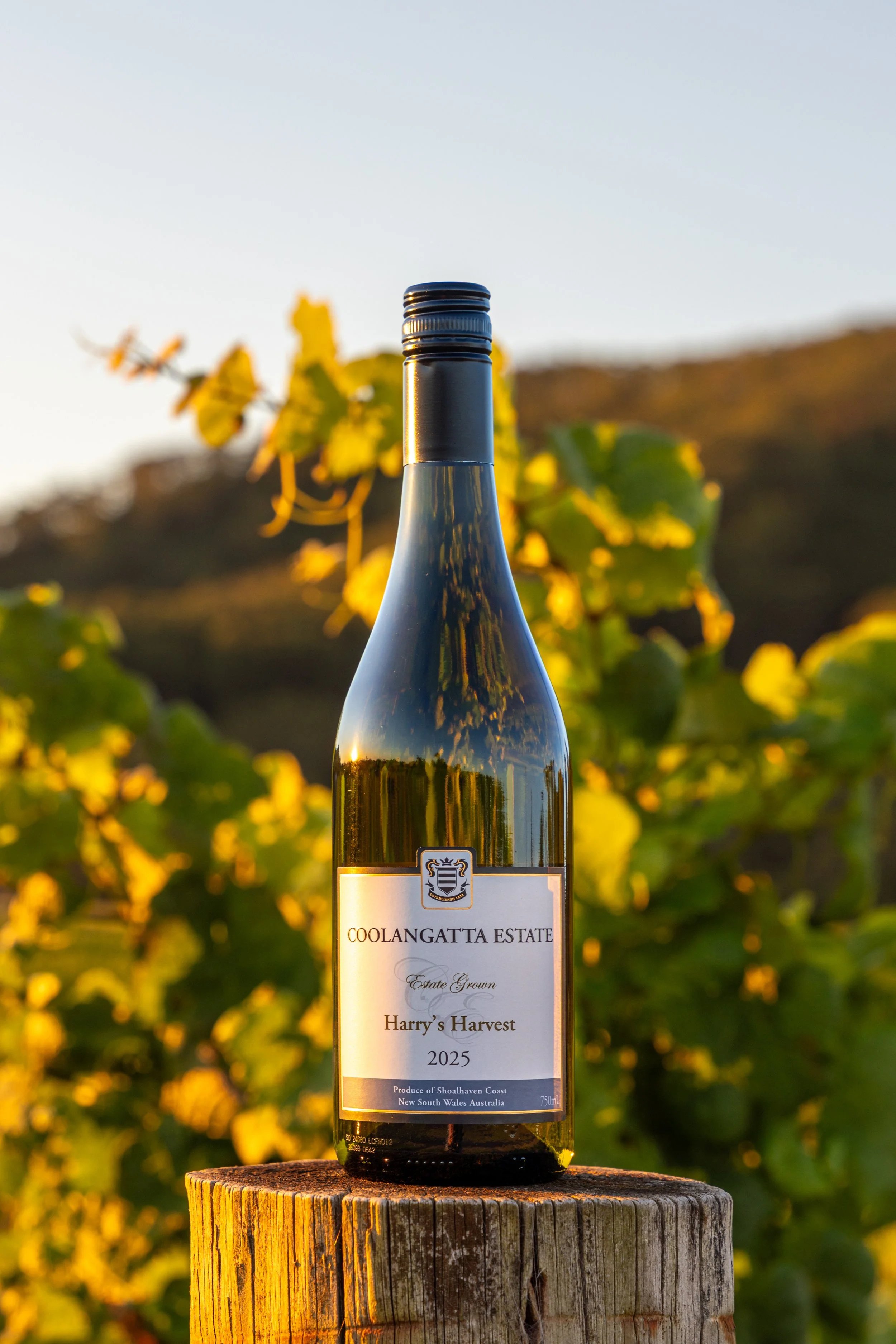 0690-CoolangattaEstate-2025wines.jpg
