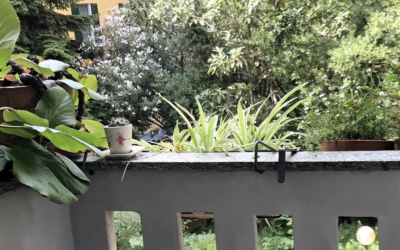 WhatsApp Image 2025-04-10 at 15.29.24 (5).jpeg