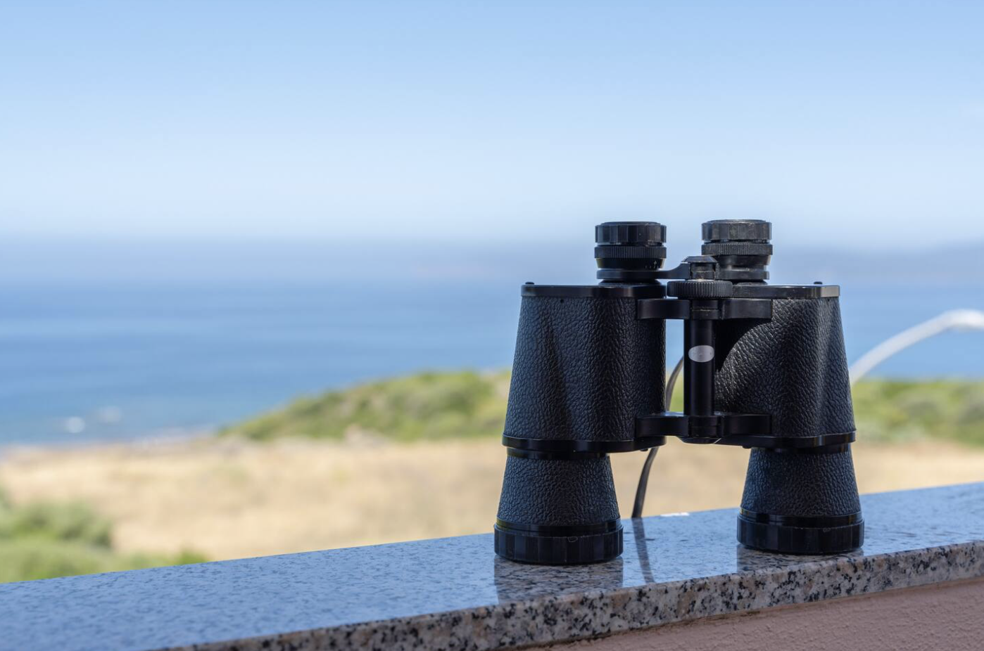 Screenshot 2026-02-03 alle 12.50.55.png