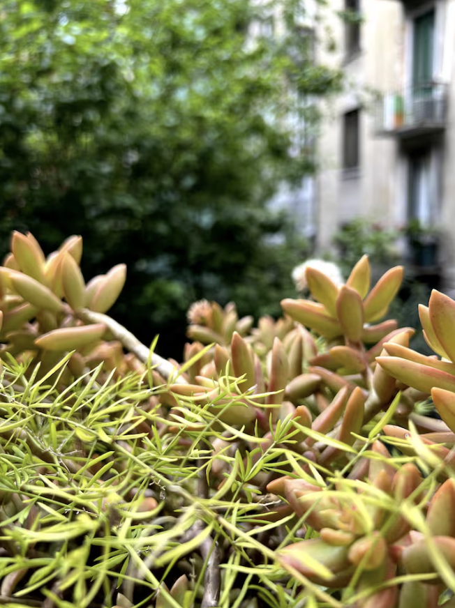 Screenshot 2026-02-03 alle 12.06.52.png