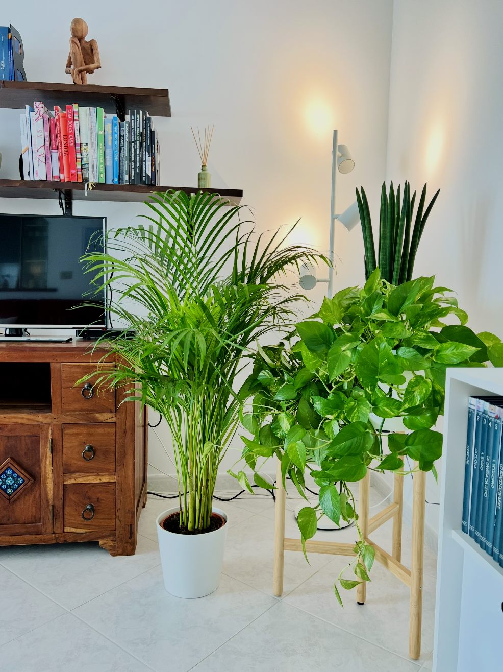 Screenshot 2026-02-03 alle 13.14.39.png