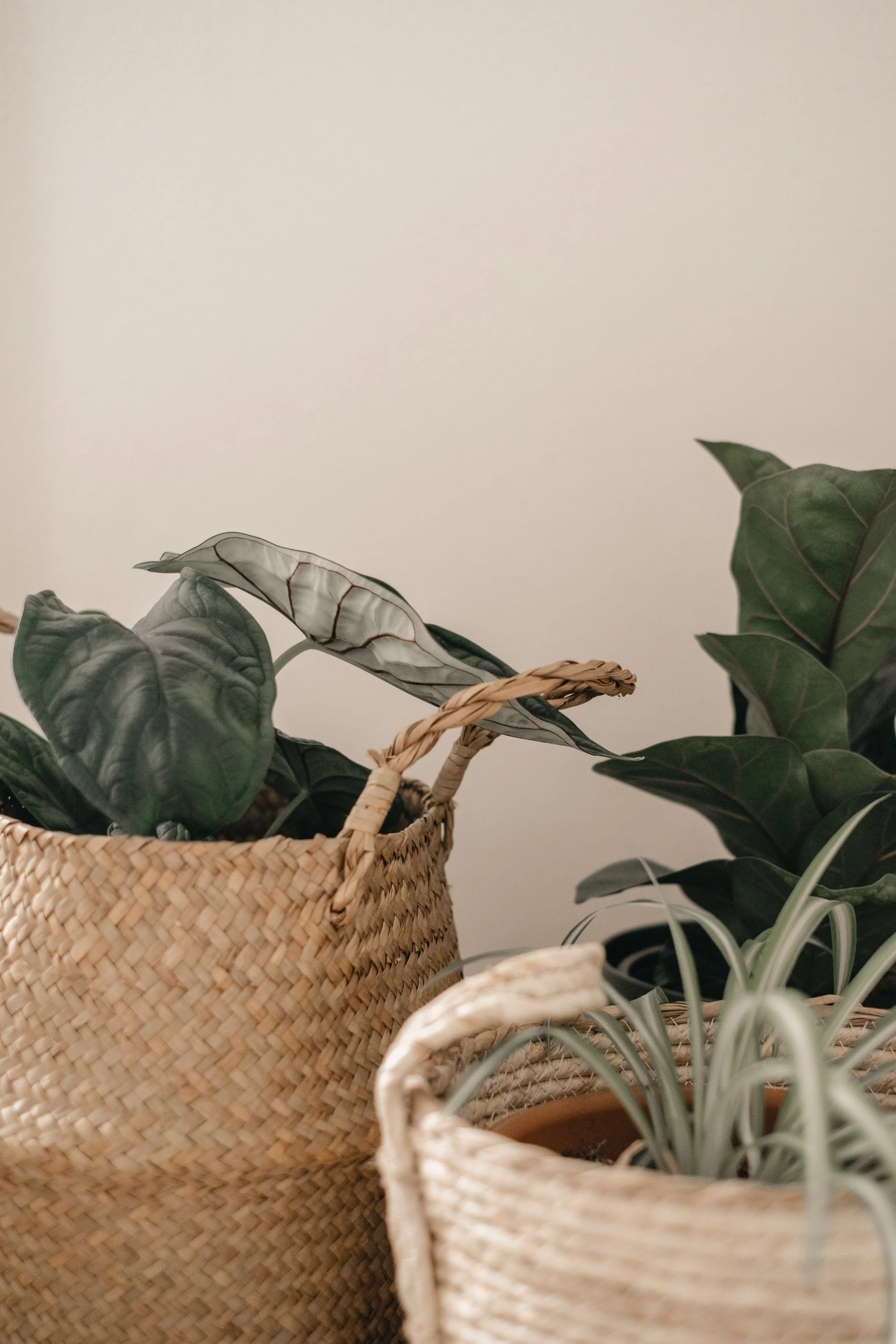 Luisa Mazzara - mag23-124.jpg