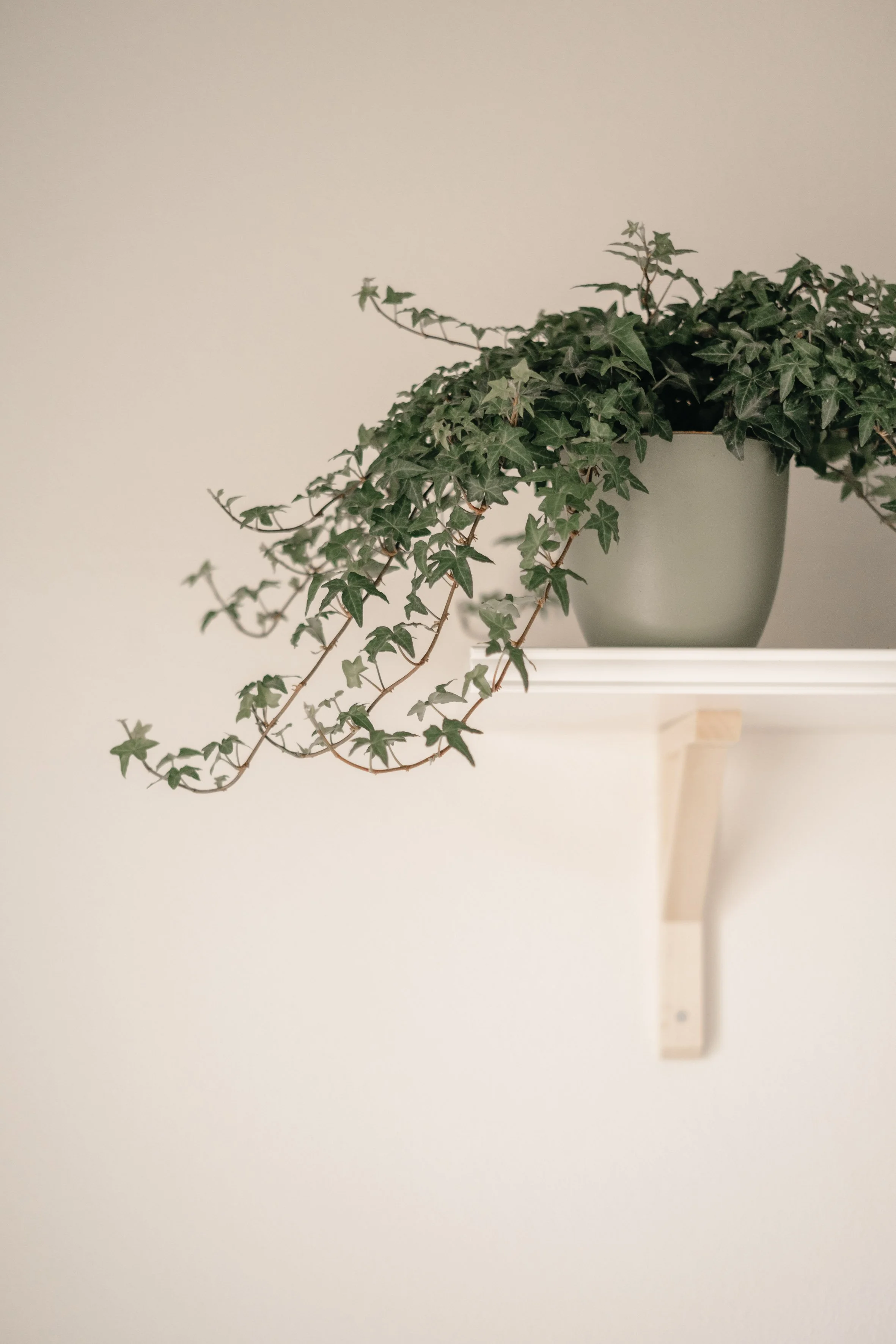 Luisa Mazzara - mag23-126.jpg