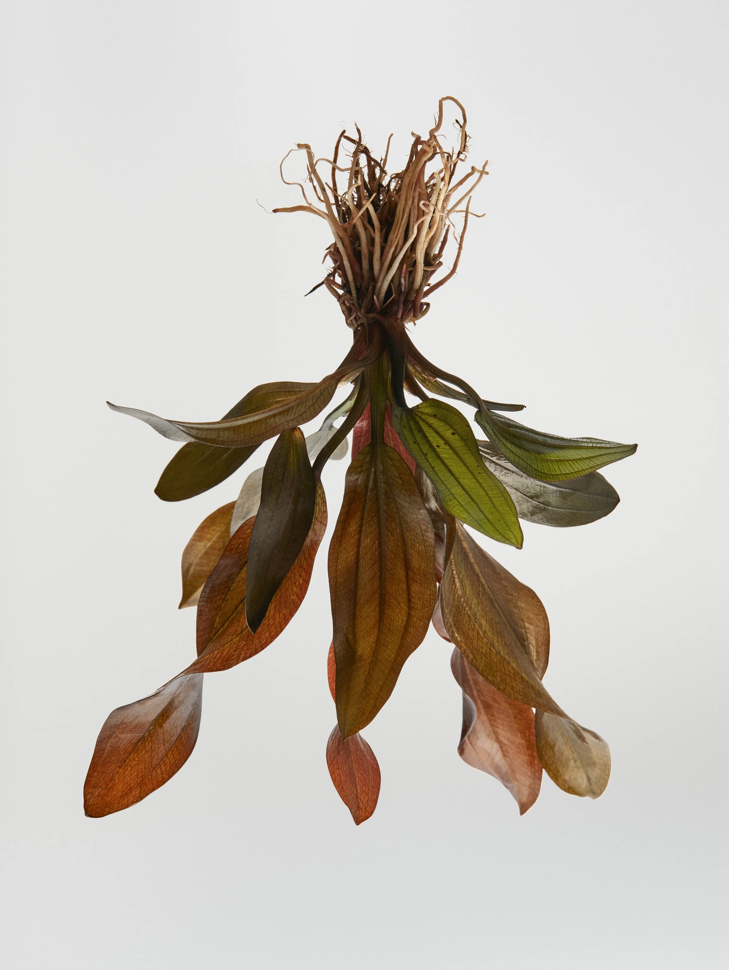 2023_Bodego_Puig13614 ENVIR clr HR1.jpg