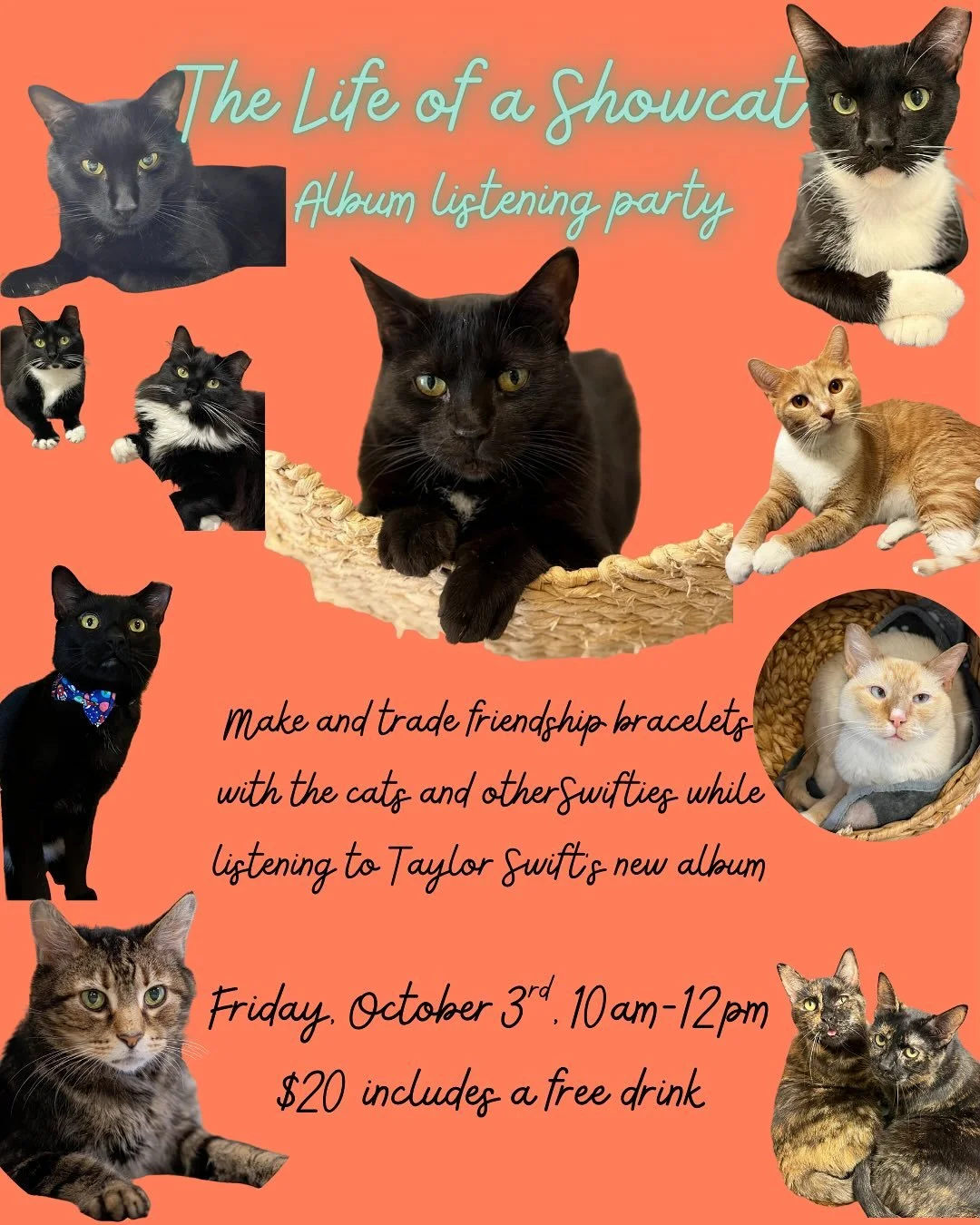 Our cats can&rsquo;t wait for this new album to drop&hellip;.and to listen with you while you give them treats 😻

#catcafe #lifeofashowgirl #swiftiecat #peabodyma #kittycatcafema #kittycatcafepeabody #salemma #thingstodoinsalem #bostoncatsofinstagra