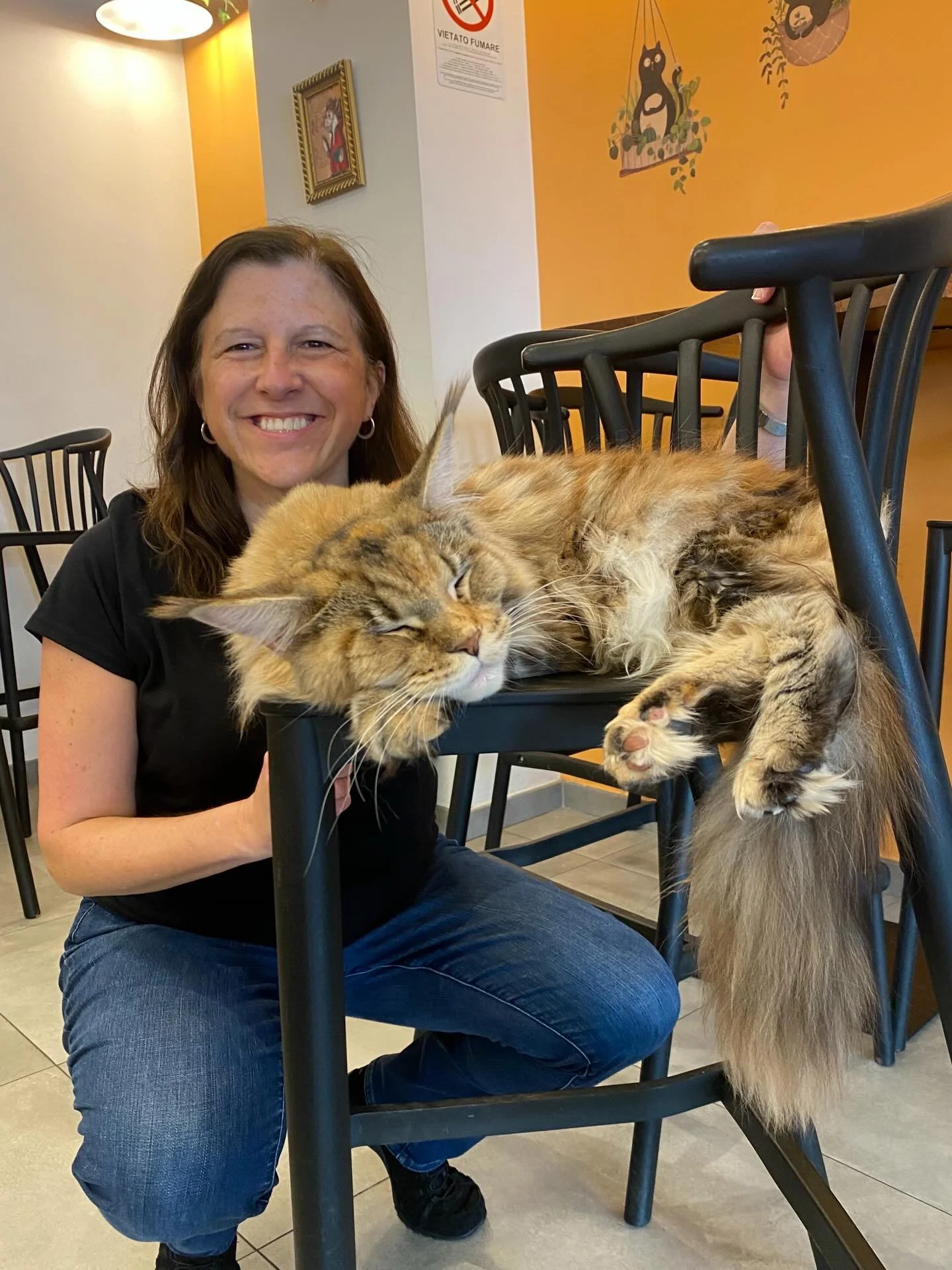 Buongiorno from @catcafefirenze , a gem of a cat cafe in Florence, Italy 🇮🇹 with lots of coziness and catitude.  We spent hours here enjoying the sweet cats, sipping the awesome cat-uccinos, and chatting with Minella (owner) and Sofia (staff member