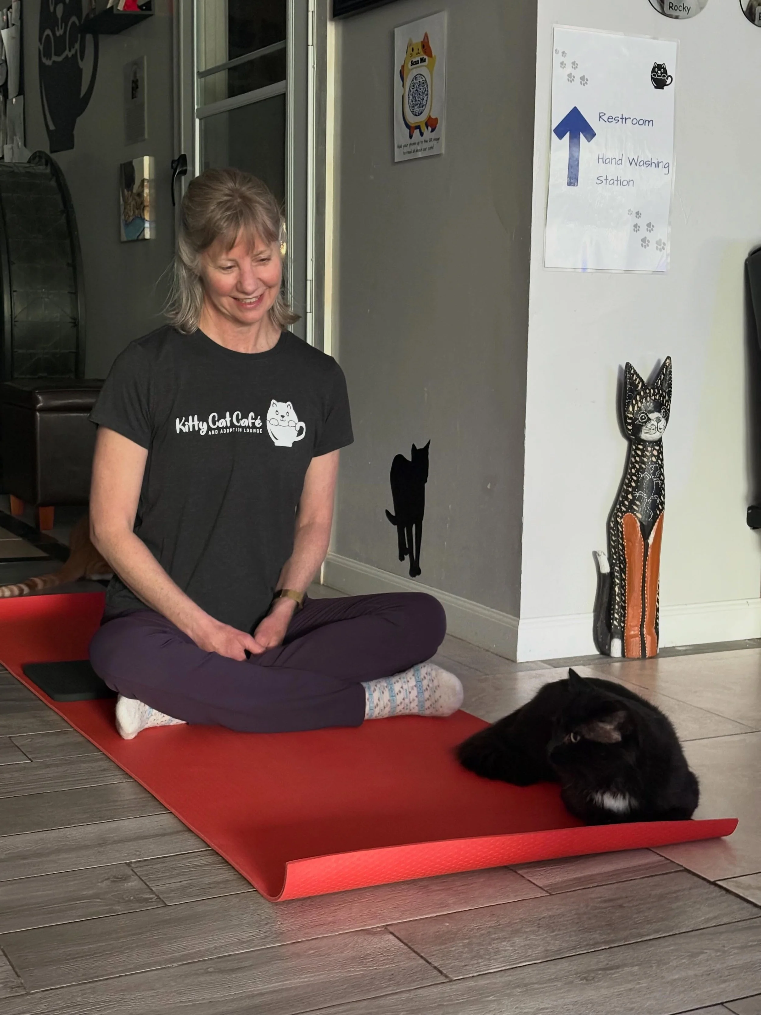 Gelato had his first yoga class this morning. Here he is co-teaching the class with Jennifer @pause_yoga_amesbury . We have one opening left for Yoga with Cats on June 7 and a few left for June 28. Meowste!

#yogawithcats #nonprofit #rescuecatsofinst