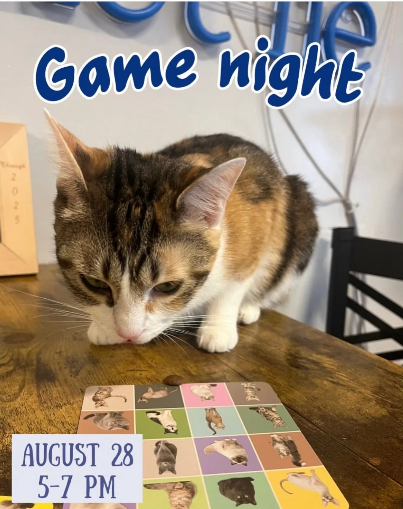 4 slots just opened up for this Friday&rsquo;s Game Night! Play board games on your own or join a whole group game led by Heather.  Of course our cats are here to inspire you, give you good luck, or sit on your game boards 😸

This age 14 and over ev