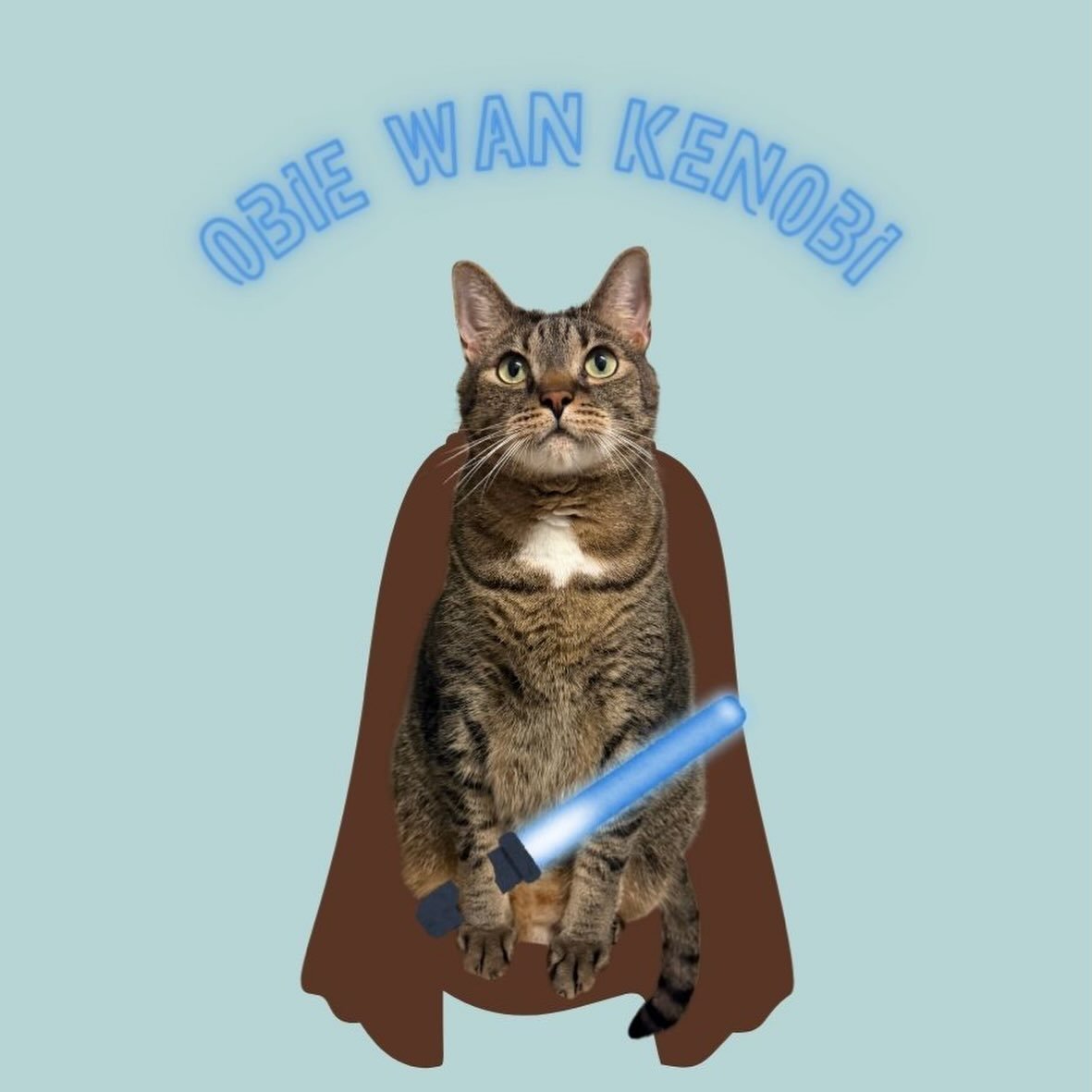 Mews Flash: We just got the shipment of our new stickers designed by our talented volunteer, Lidia!  Obie will now enjoy everlasting fame along with Hope, Max, Monty, and the rest of the gang 😻

Fun fact: You get a free custom sticker every time you