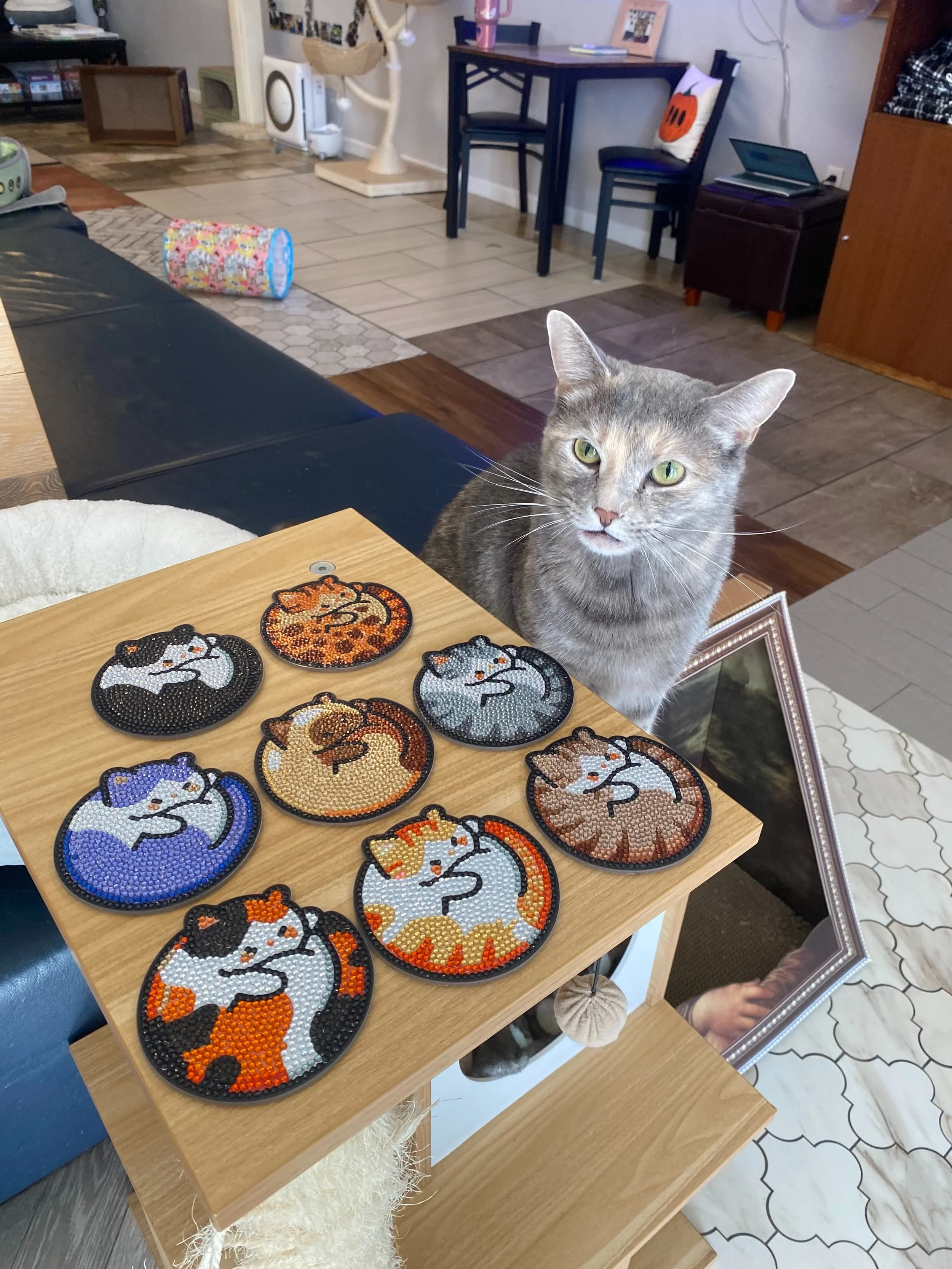 Amelia, one of our regulars, made these pawsome coasters for us to sell in our gift shop 💕  Meanwhile, sassy Mina is trying to convince all the cats that she made them herself 😹

#catart #kittycatcafema #peabodyma #rescuecatsofinstagram #nonprofito