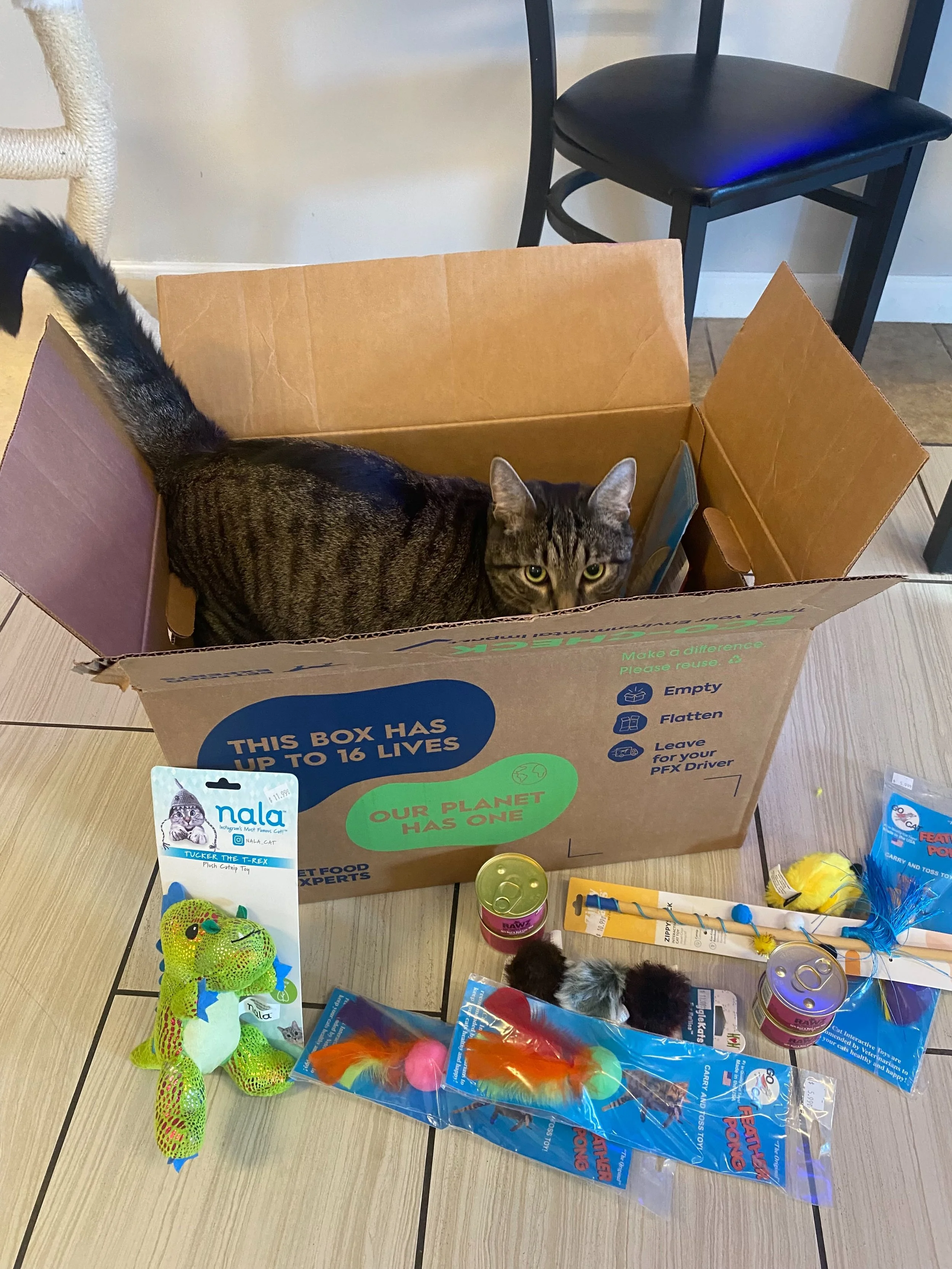 We&rsquo;re so touched that the Natural Dog and Holistic Cat chose to fundraise for us this past month.  Their customers were so generous and we just got 4 huge boxes of food, toys, litter, and catnip for our feline friends at the cafe 😻

Over the p