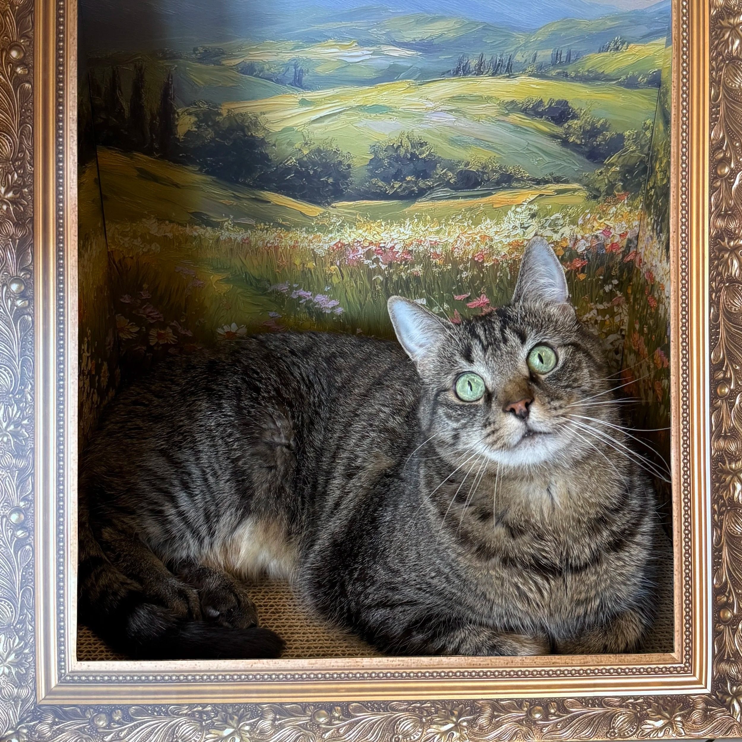 A tabby cat lying inside a decorative box with a painted landscape background of green hills, trees, and a blue sky.