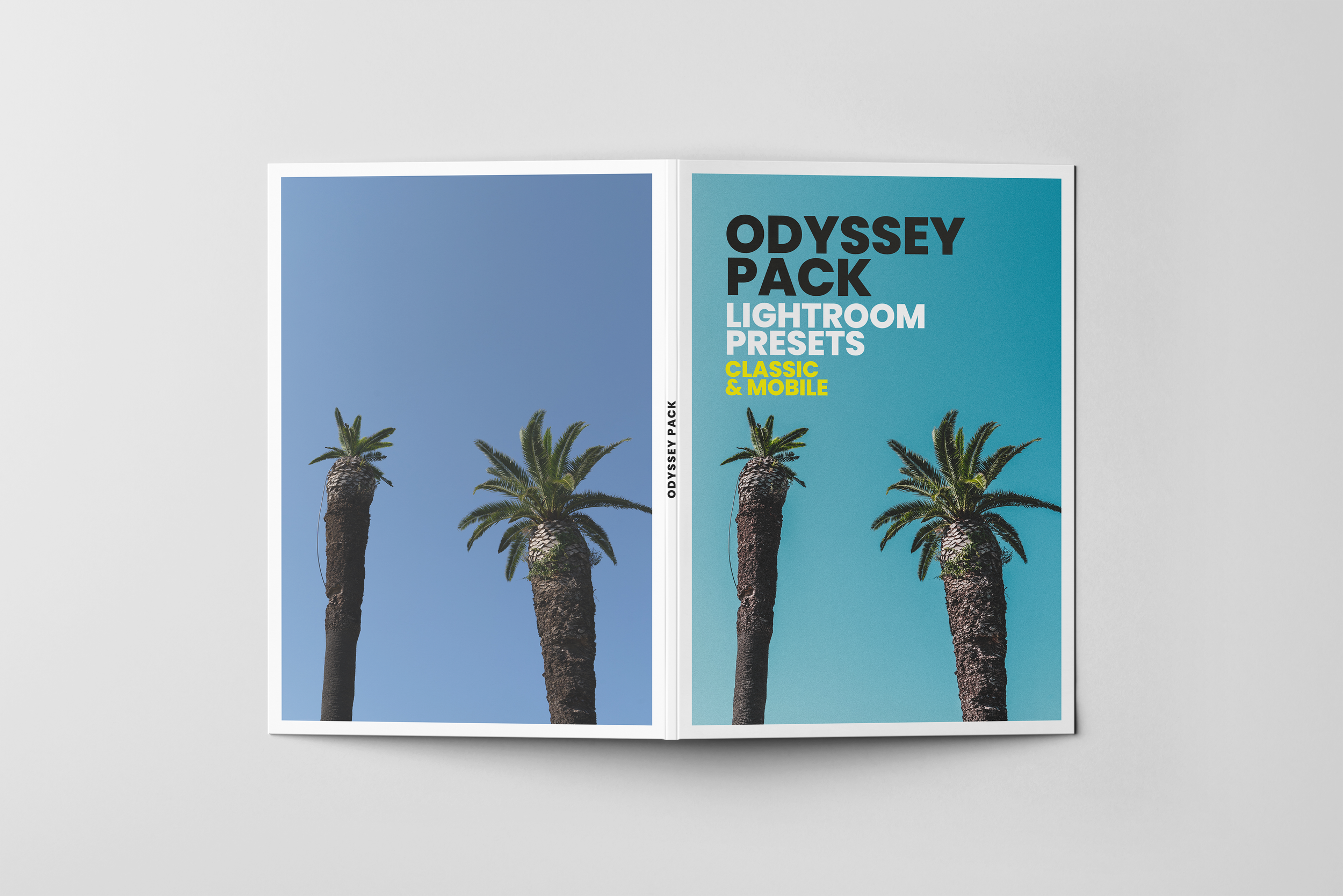 odysseypackcoverartpalms.png