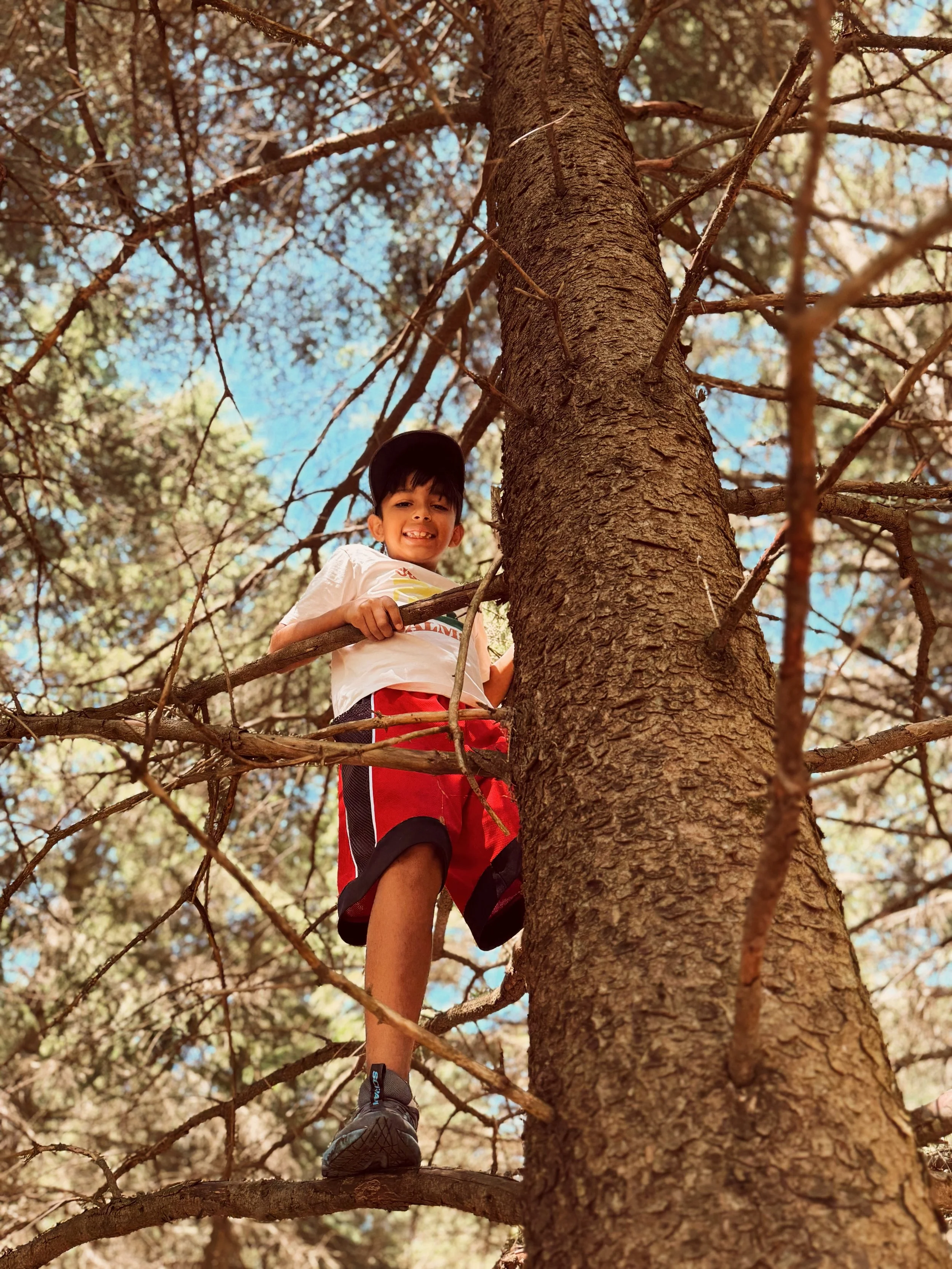 A boy wearing a black cap, white T-shirt, red and black shorts, and black shoes climbing a tall tree with a thick trunk and numerous branches, looking down with a smile, under a blue sky and surrounded by leaves.
