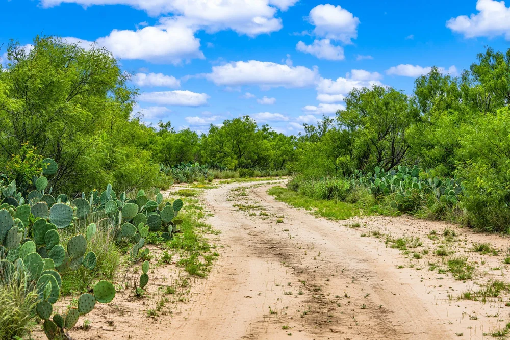 general-3-tecomate-properties