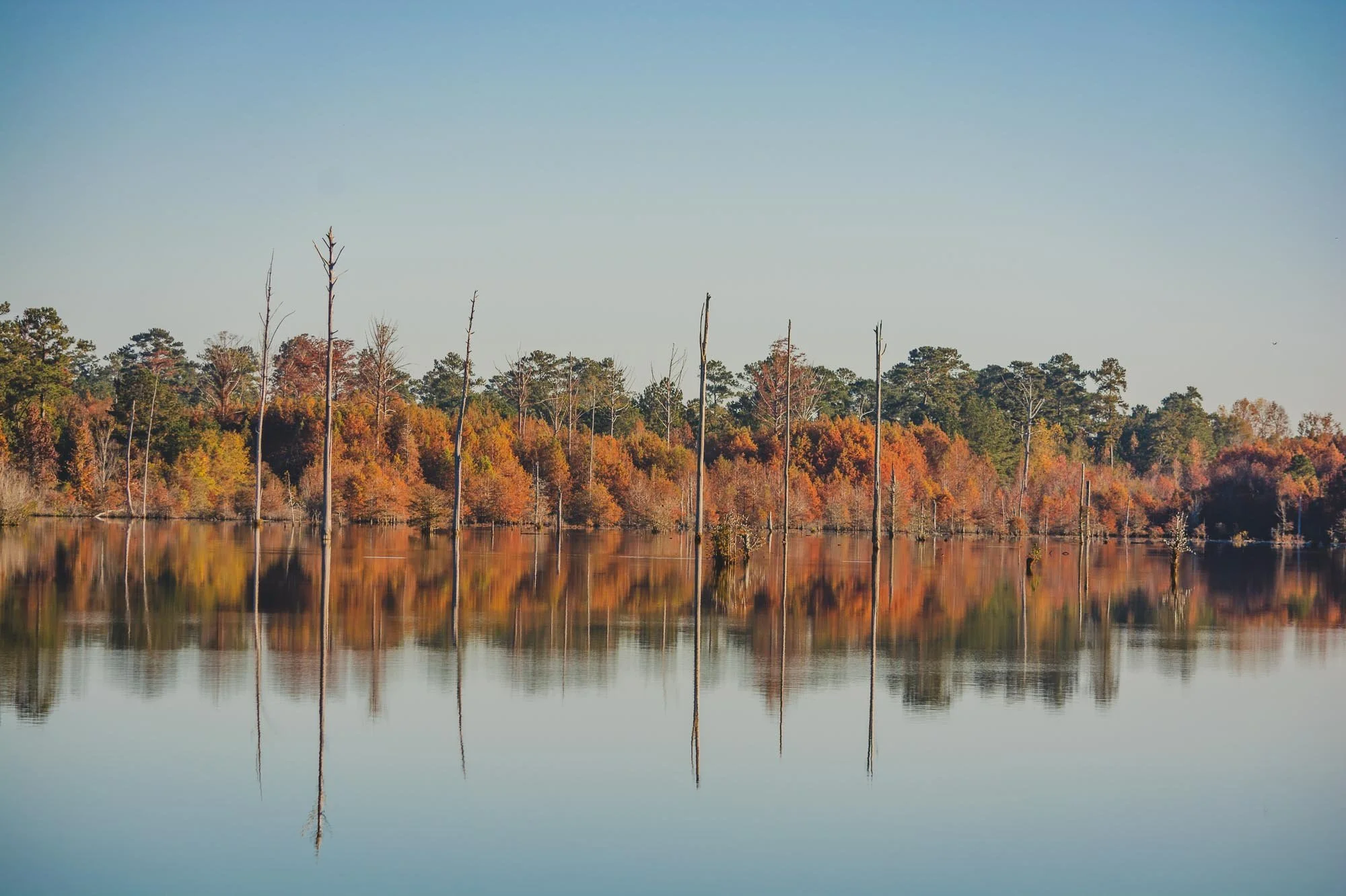 FoxCreek_304.jpg