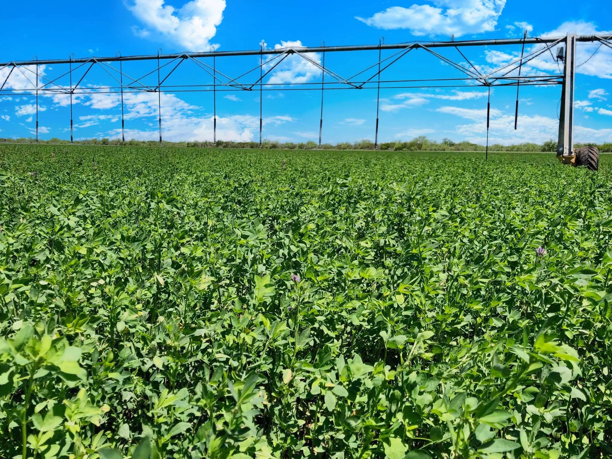 general-3-tecomate-properties