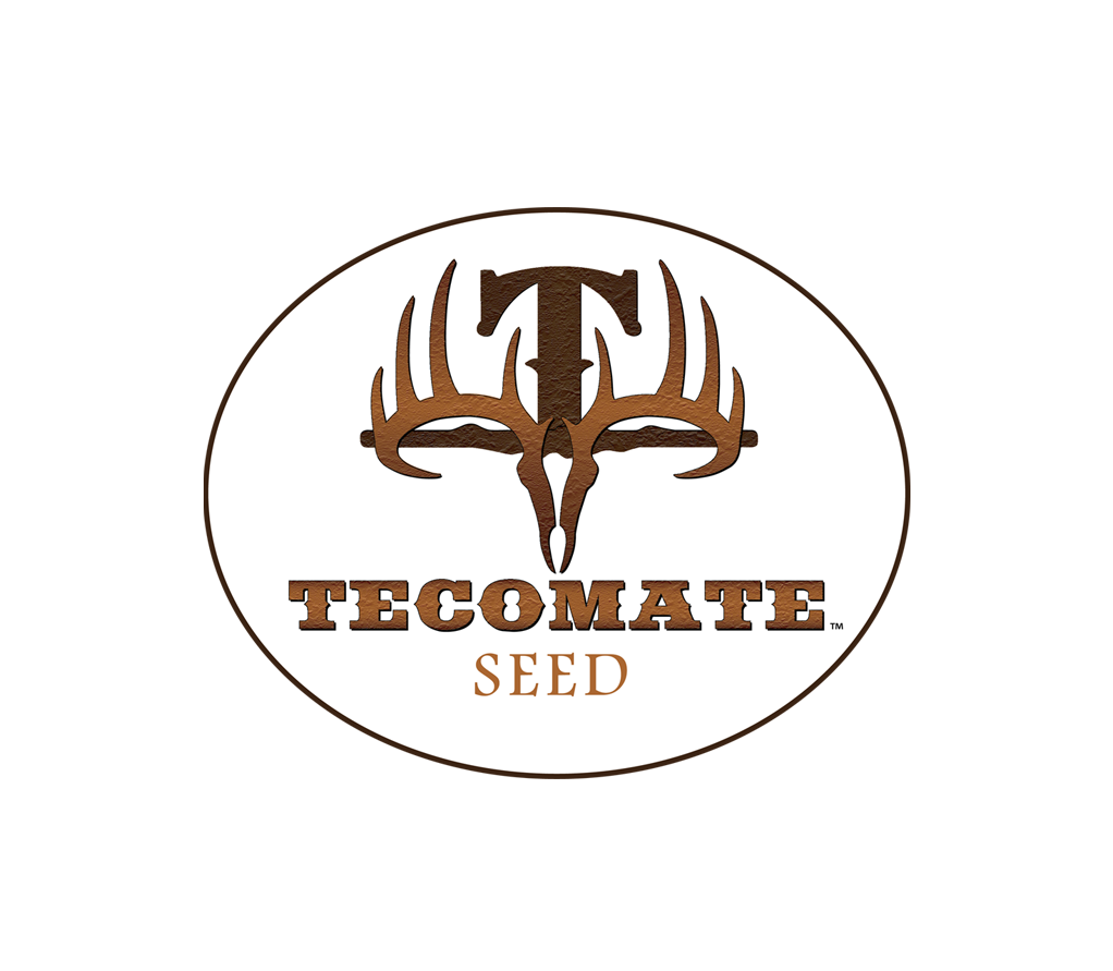 tecomate seed.png