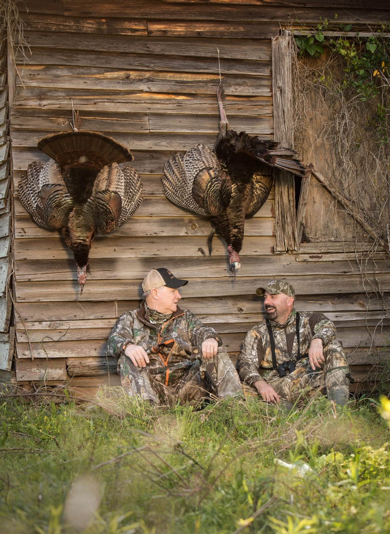 MarkDavid_Turkeys3-web.jpg