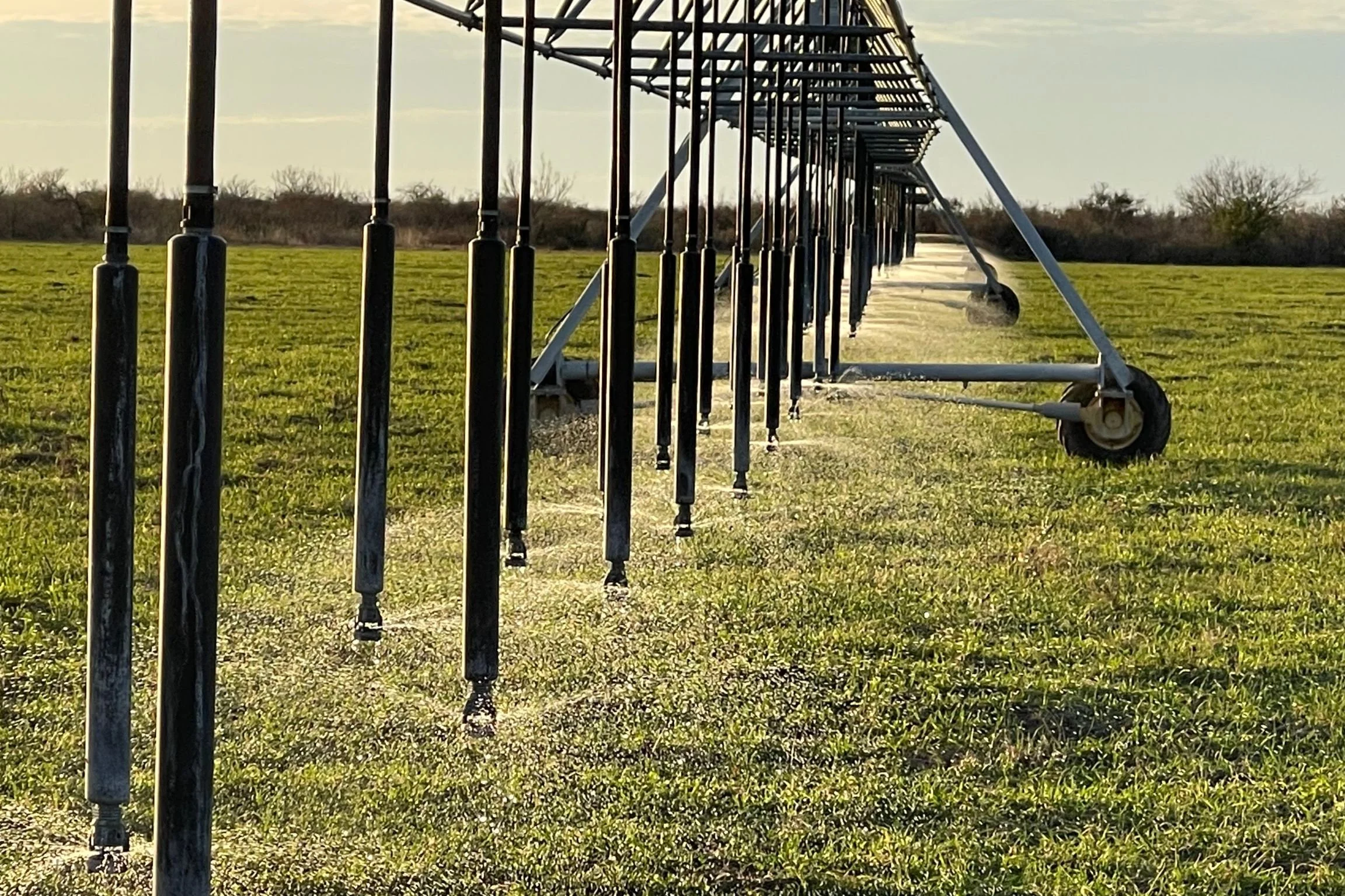 general-3-tecomate-properties