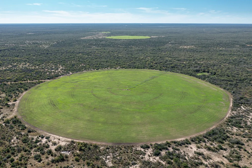 general-3-tecomate-properties