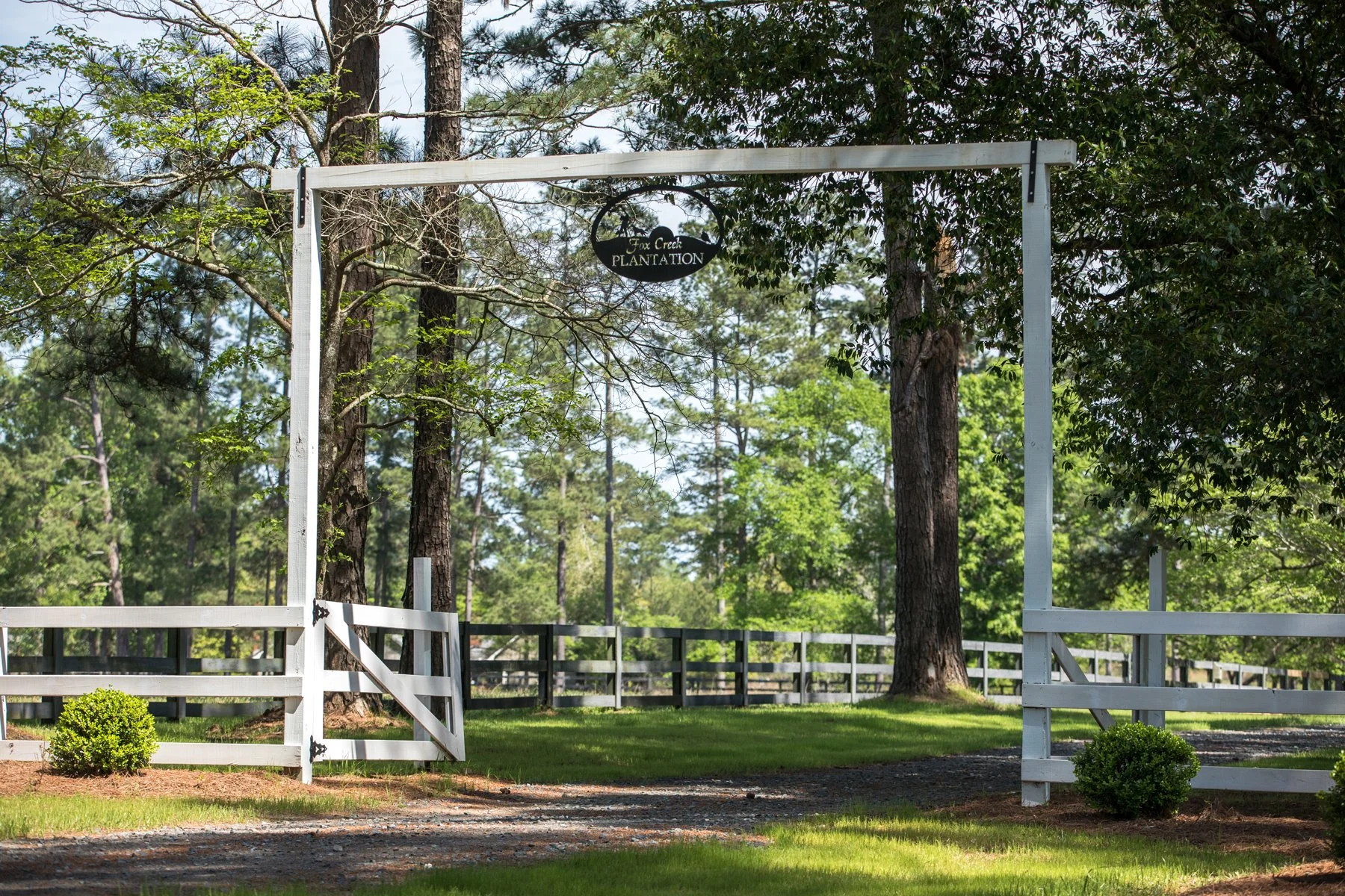 Plantation_1-web.jpg