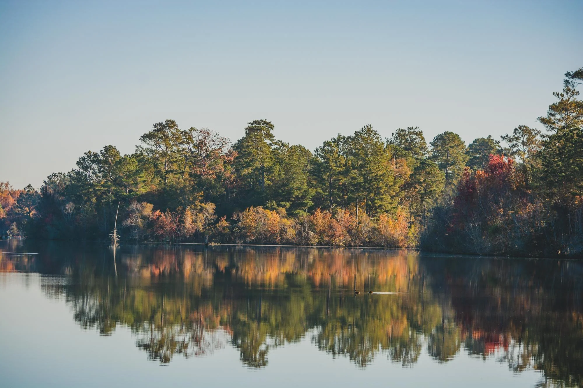 FoxCreek_310.jpg