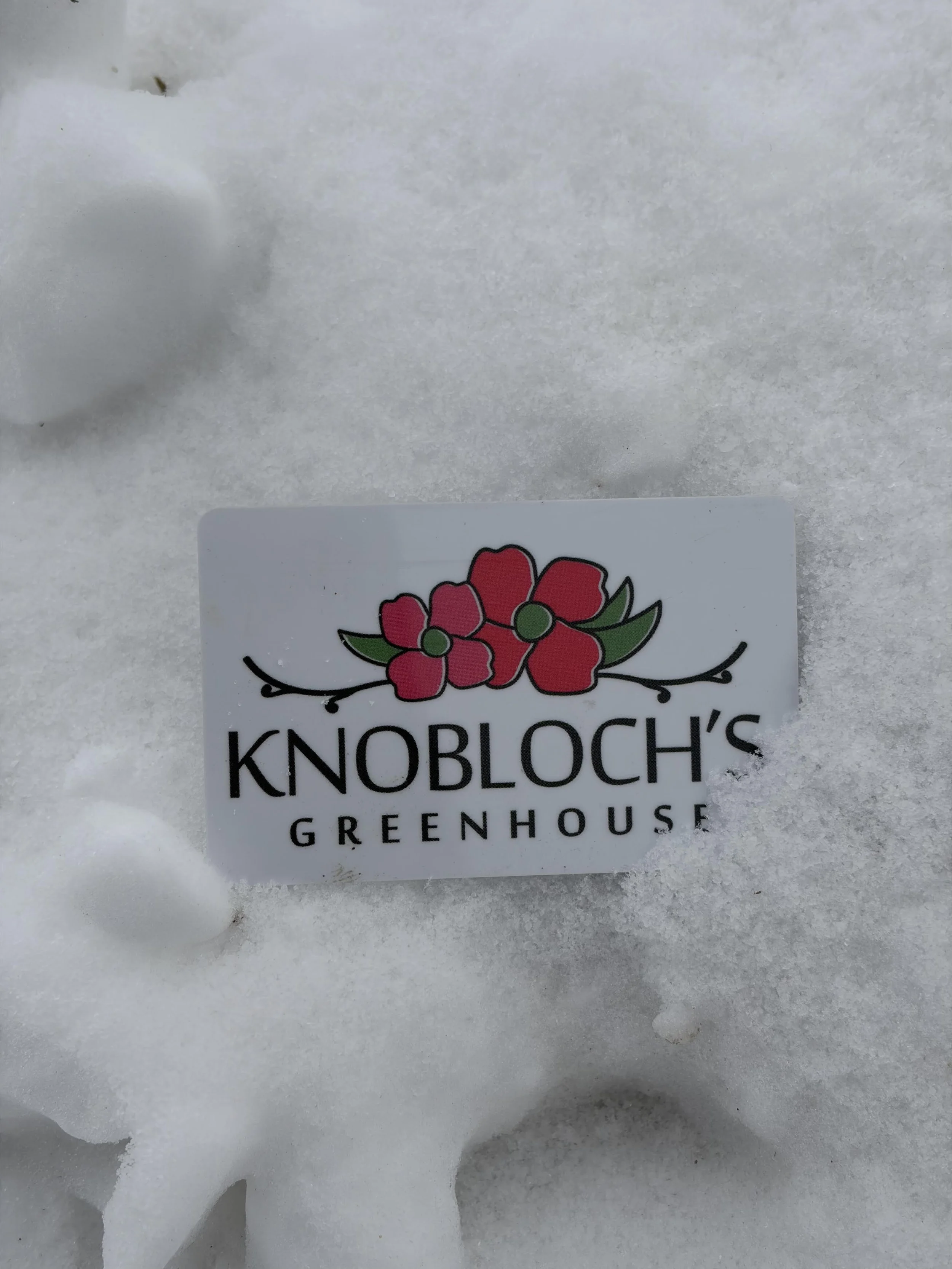 Snow Gift Card Picture.jpg
