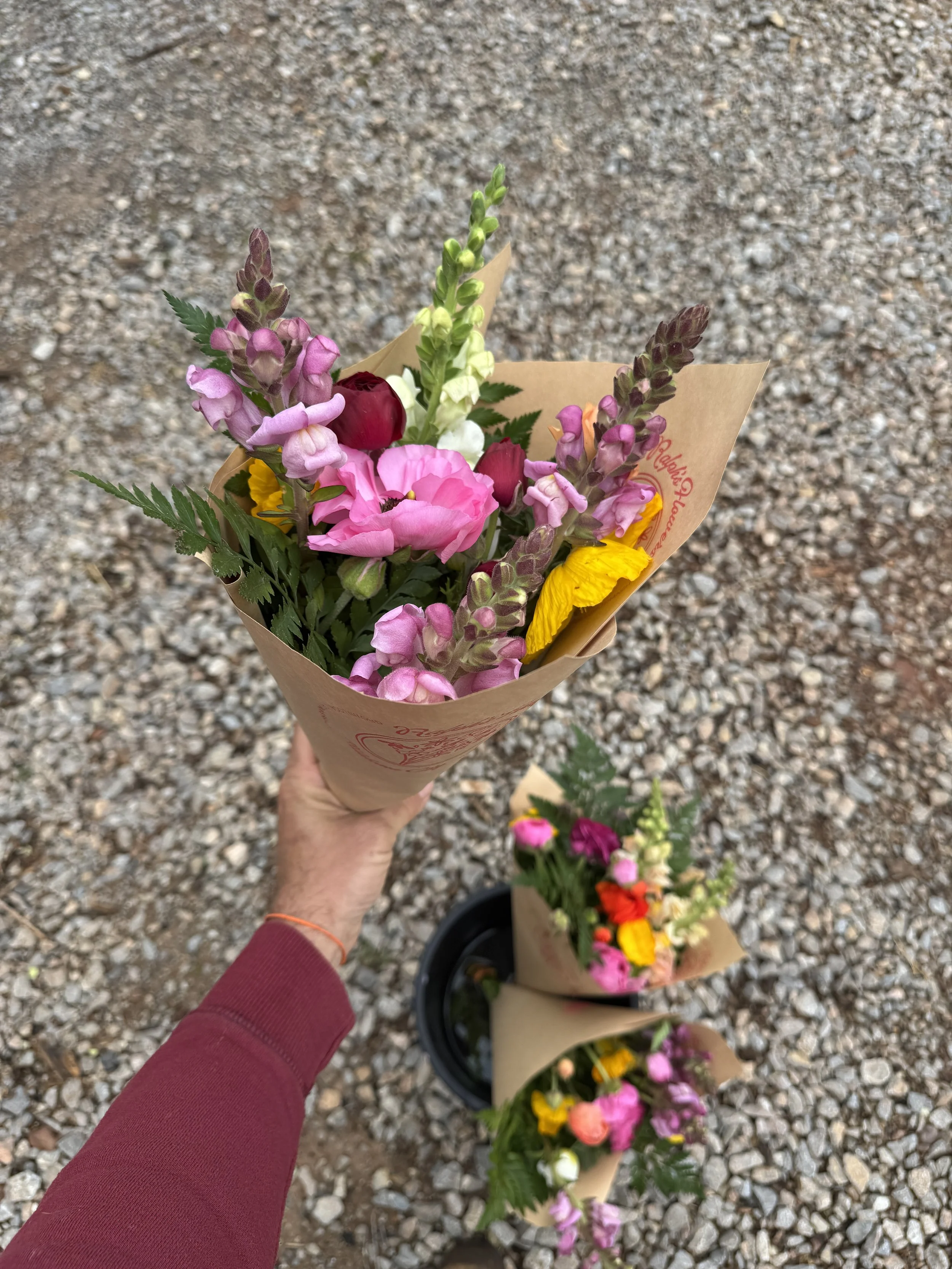 IMG_3458.JPG (Copy) (Copy)