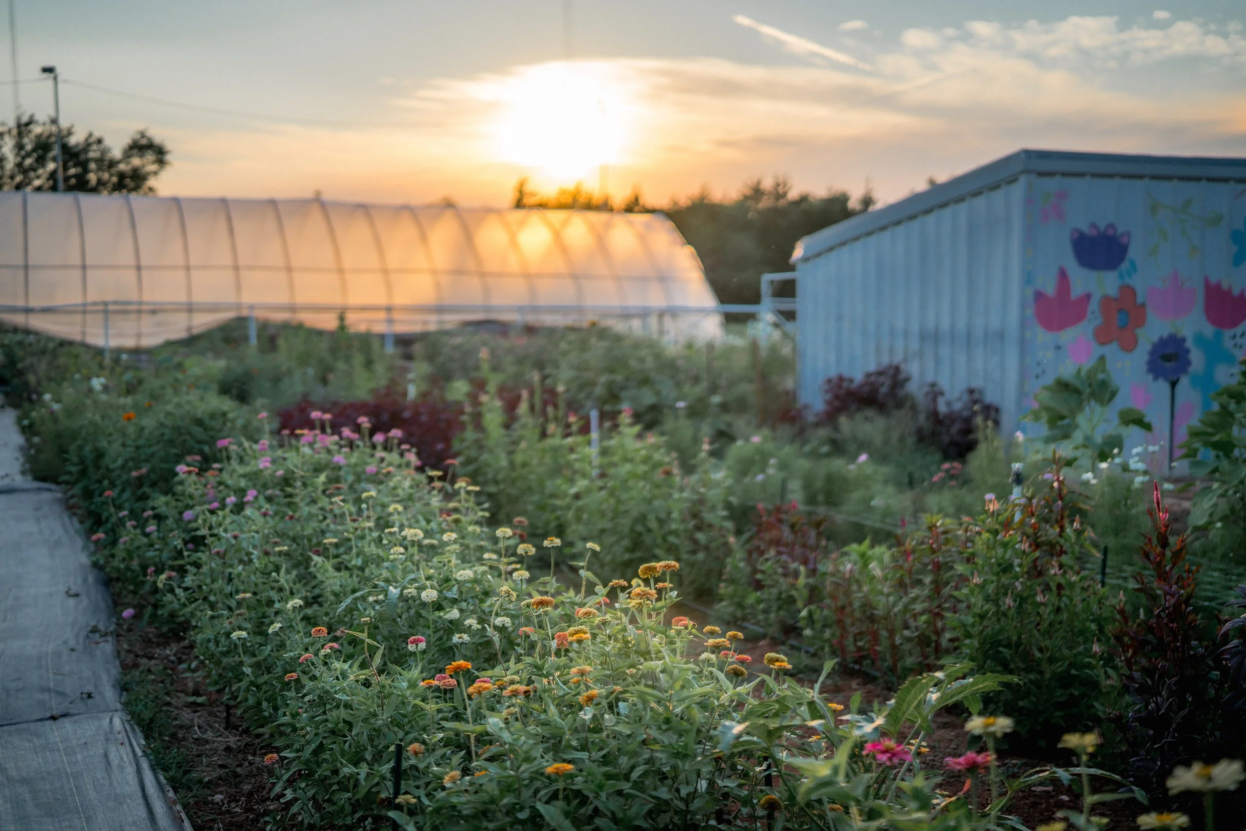 After Hours Farm Shoot-27.jpg