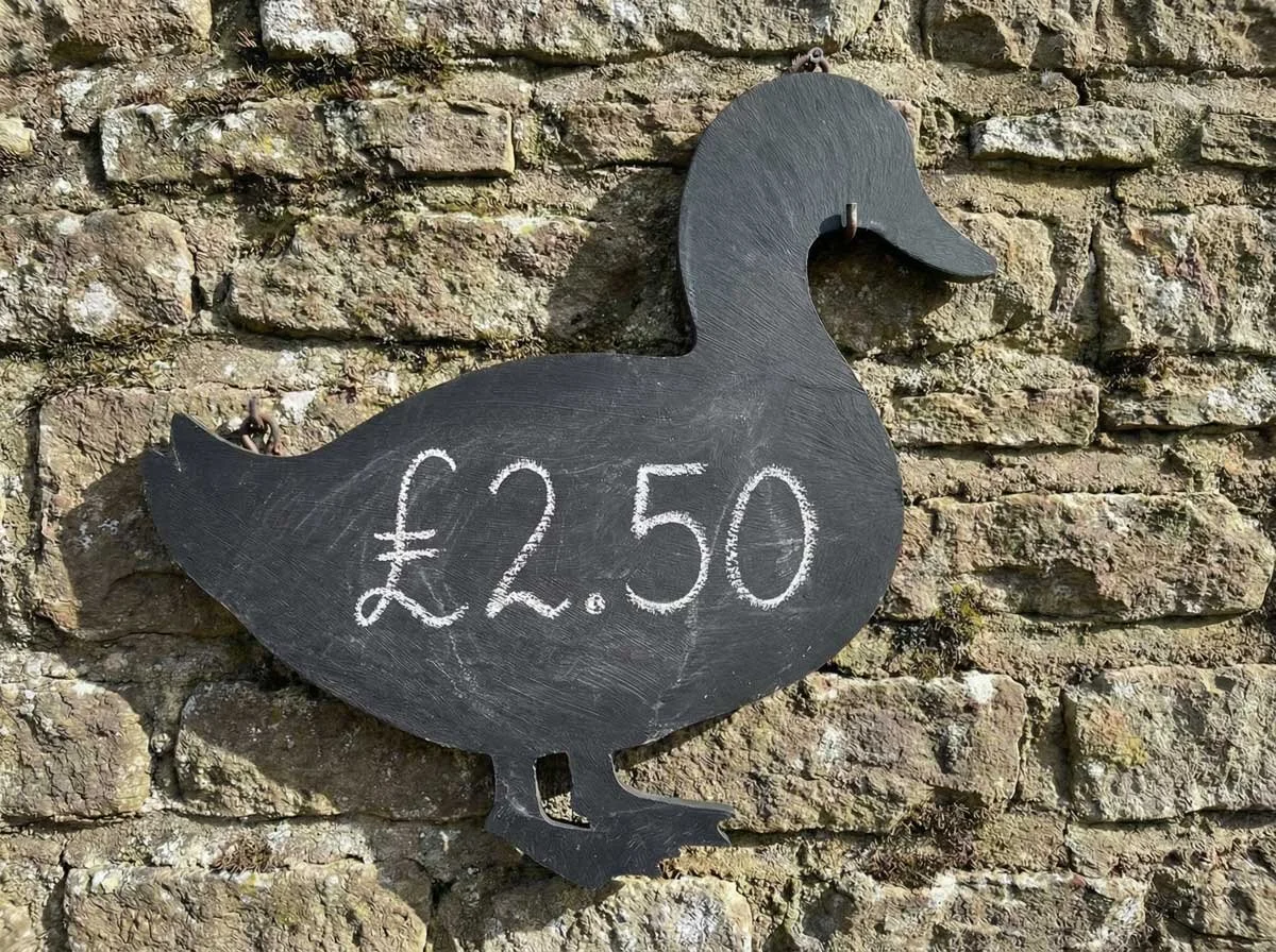 Duck_blackboard_on_stone_wall_with_chalk_writing_£2.50.jpg