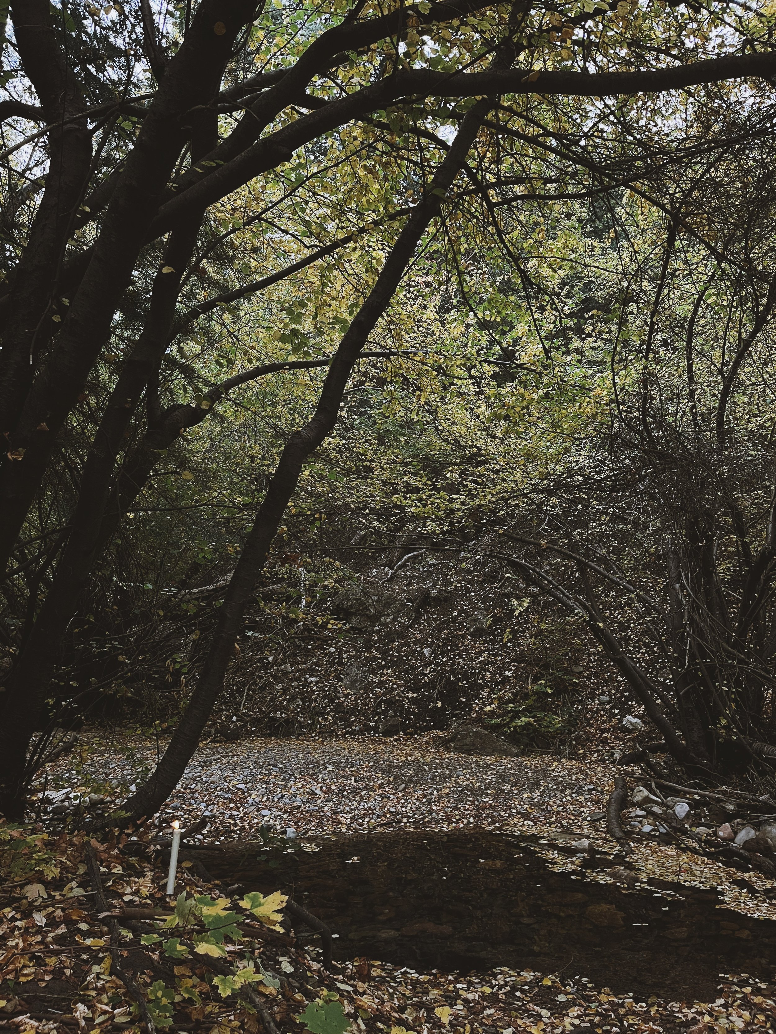 slc full moon circle candle by creek.JPG