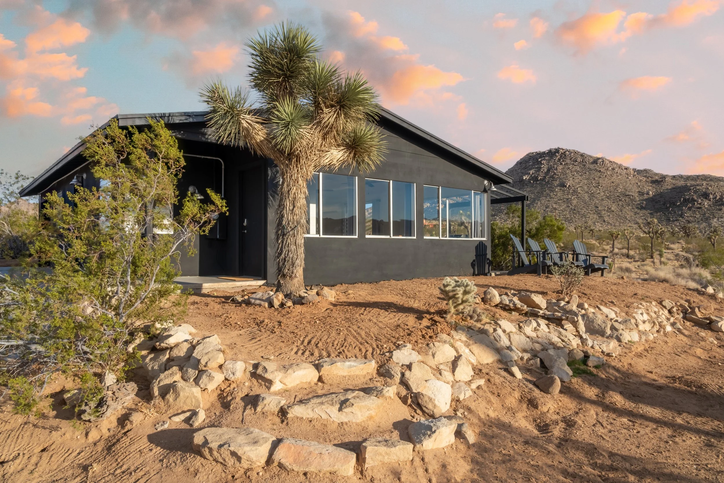 Joshua Tree — Sacred Hour