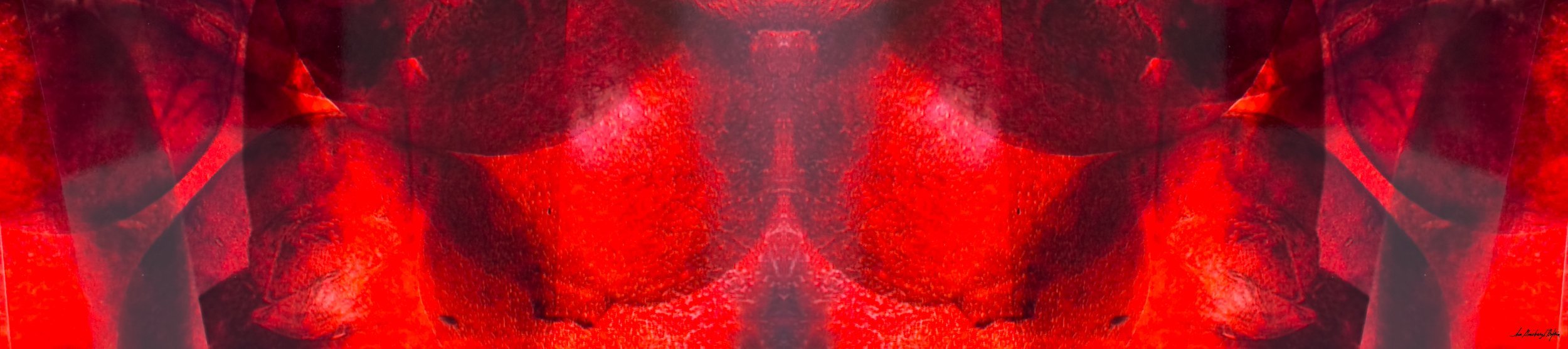 72x16-pomegranate.jpg