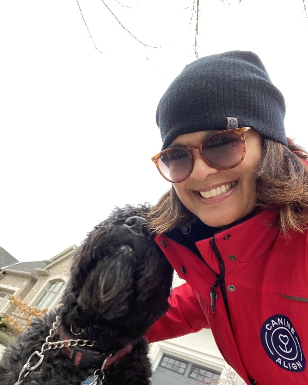 I have the best clients.  This sweet Bouvier and I enjoy private walks once a week.  She gets my full attention and she gives me hers, always warning me of a squirrel nearby 😂 .  I have been Intentionally increasing the amount of hills we do to impr