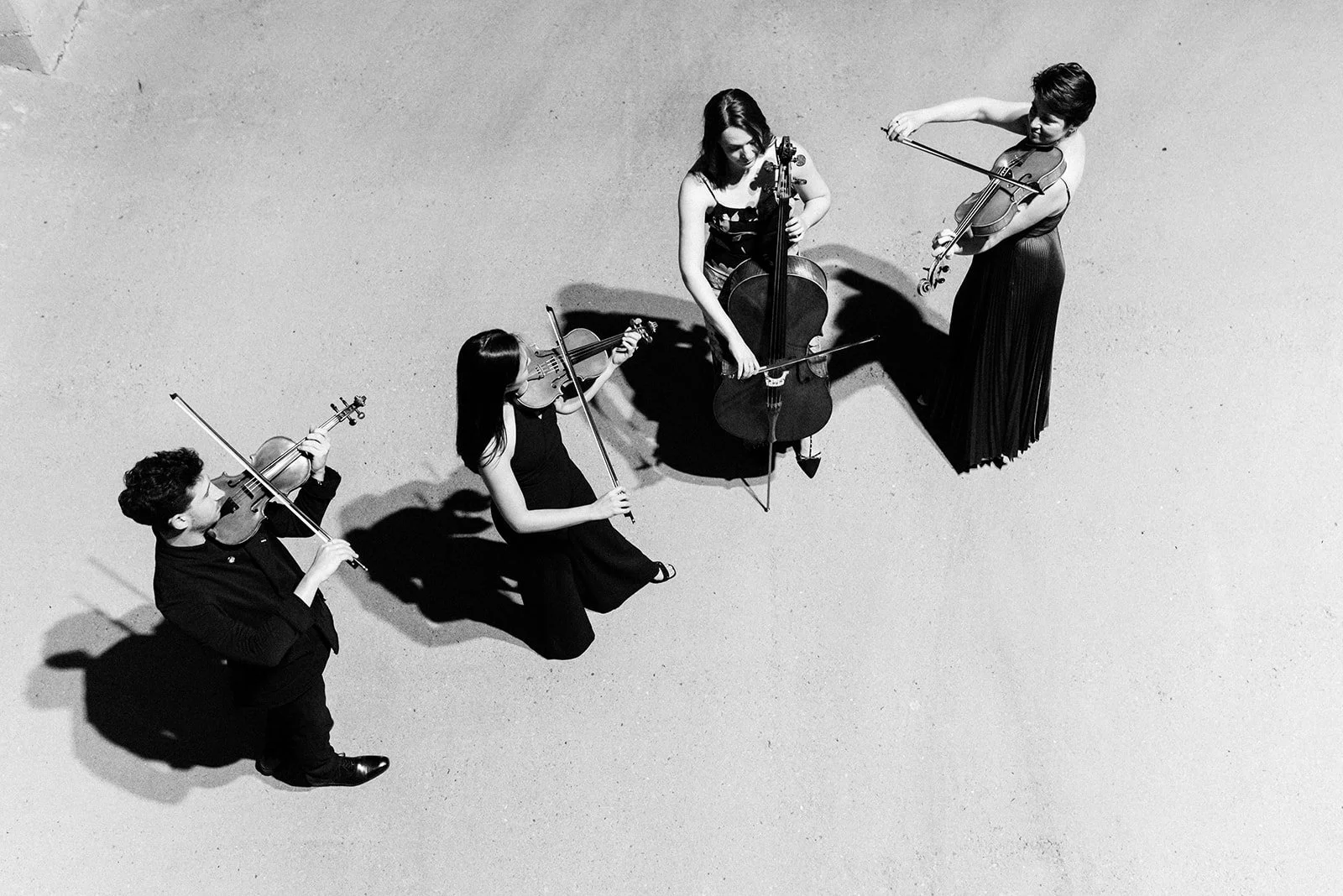 SAVE THE DATE: In the Shadows